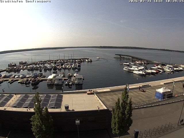 Archiv Foto Webcam Blick auf den Stadthafen und den Senftenberger See