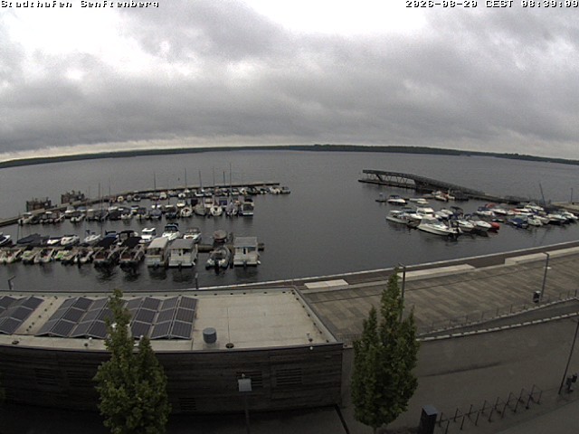 Archiv Foto Webcam Blick auf den Stadthafen und den Senftenberger See