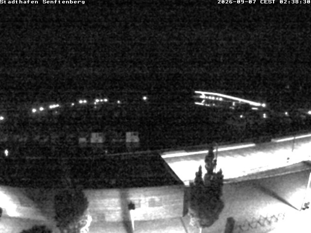 Archiv Foto Webcam Blick auf den Stadthafen und den Senftenberger See