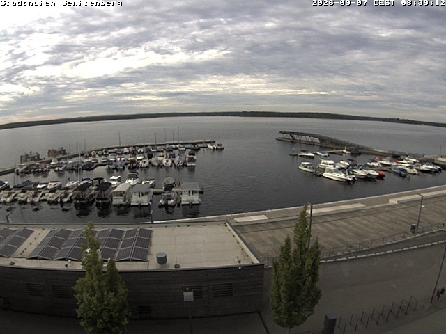 Archiv Foto Webcam Blick auf den Stadthafen und den Senftenberger See