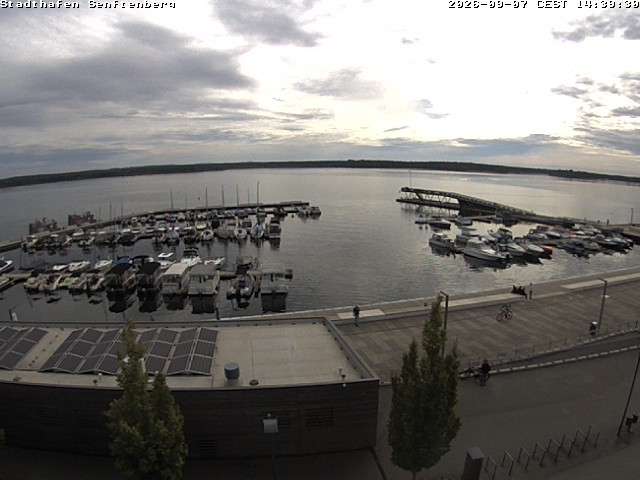 Archiv Foto Webcam Blick auf den Stadthafen und den Senftenberger See