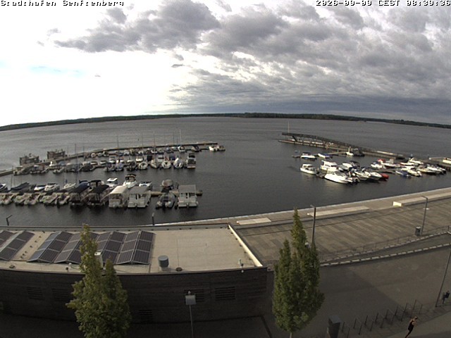 Archived image Webcam Senftenberger See - Lusatian Lakeland