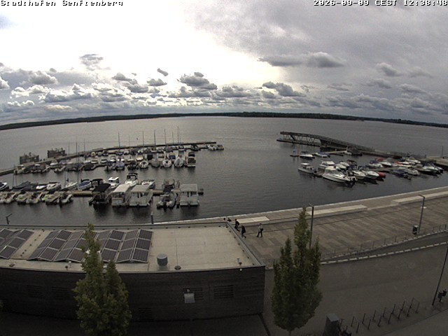 Archived image Webcam Senftenberger See - Lusatian Lakeland