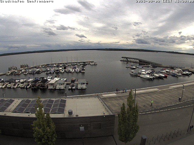 Archived image Webcam Senftenberger See - Lusatian Lakeland
