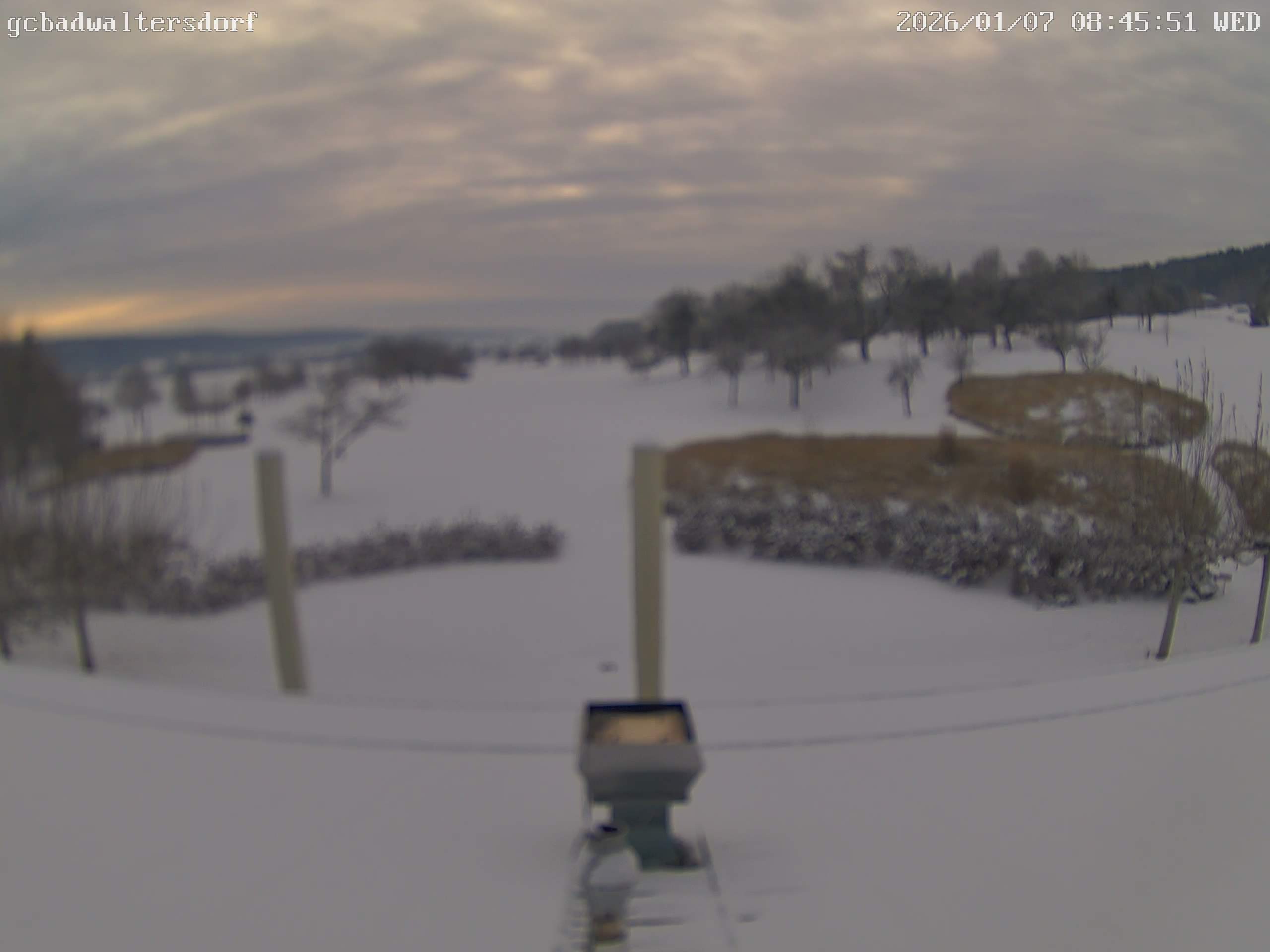 Archiv Foto Webcam Golfclub Bad Waltersdorf