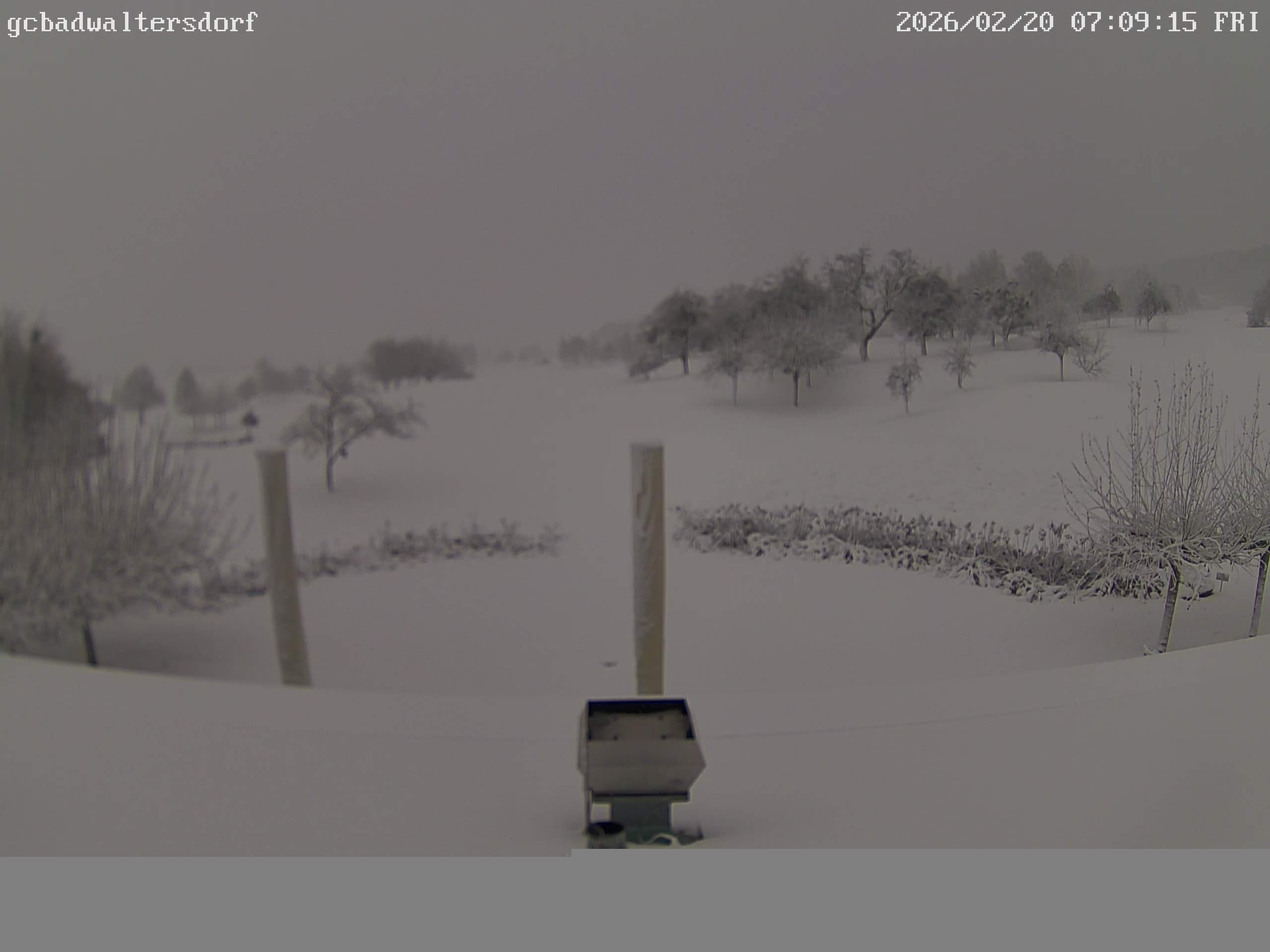 Archiv Foto Webcam Golfclub Bad Waltersdorf