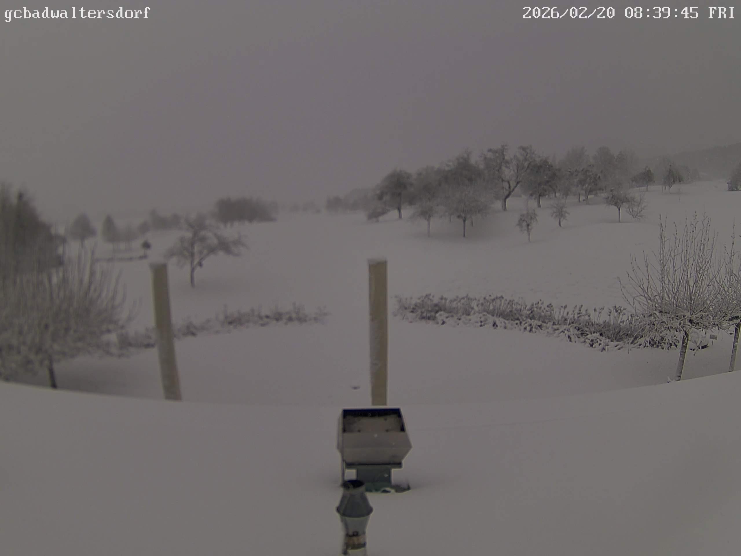 Archiv Foto Webcam Golfclub Bad Waltersdorf
