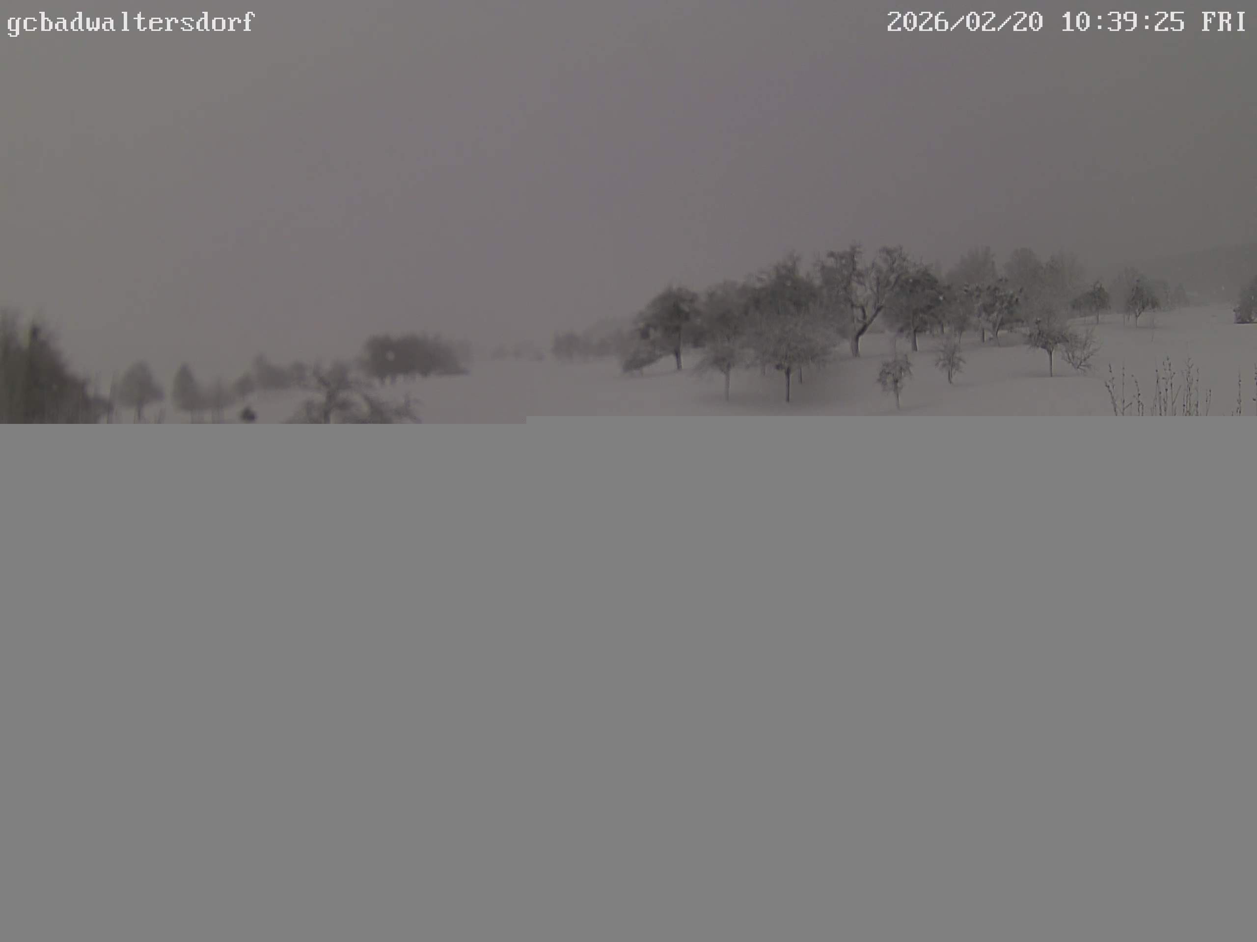 Archiv Foto Webcam Golfclub Bad Waltersdorf