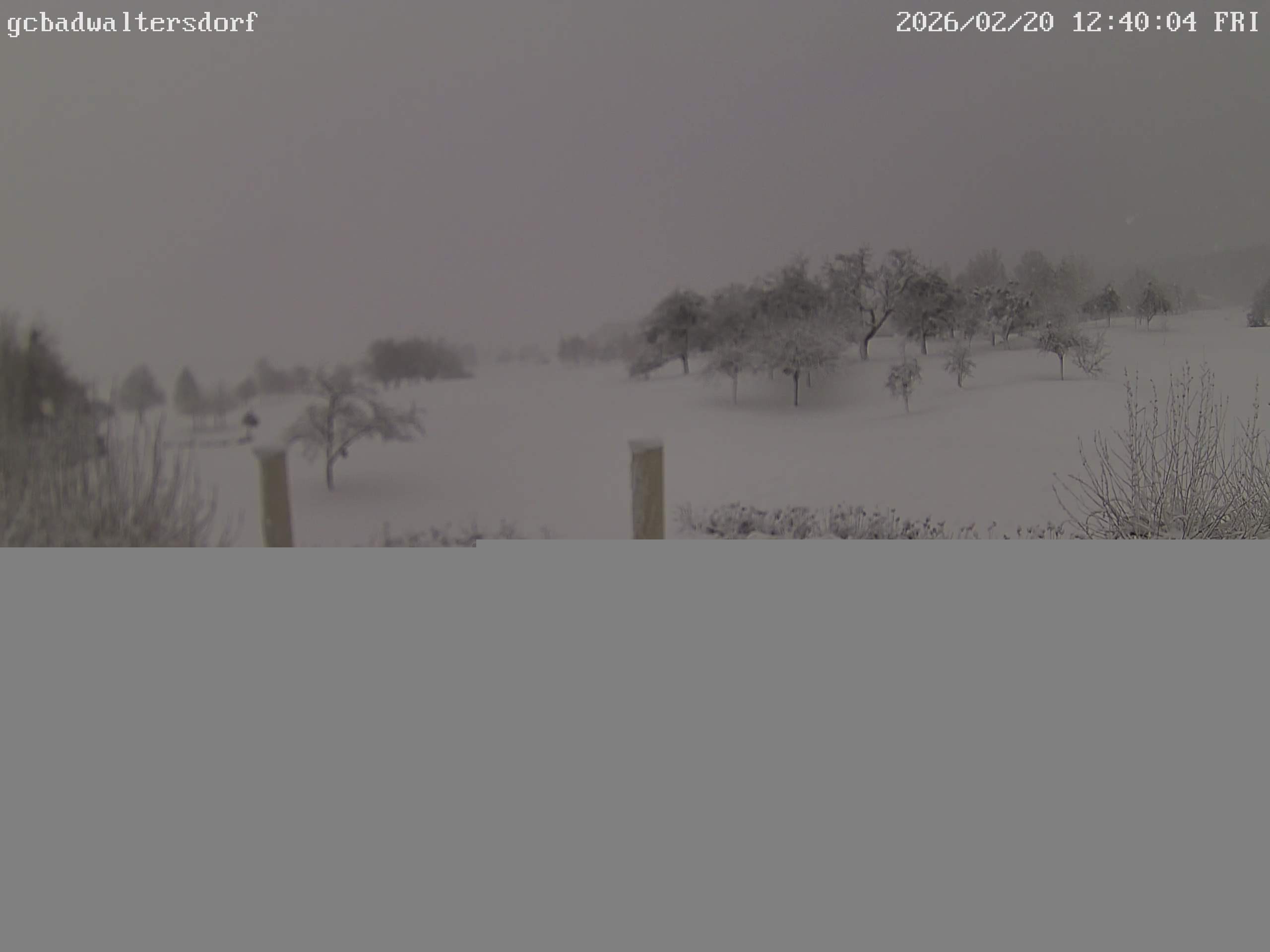 Archiv Foto Webcam Golfclub Bad Waltersdorf