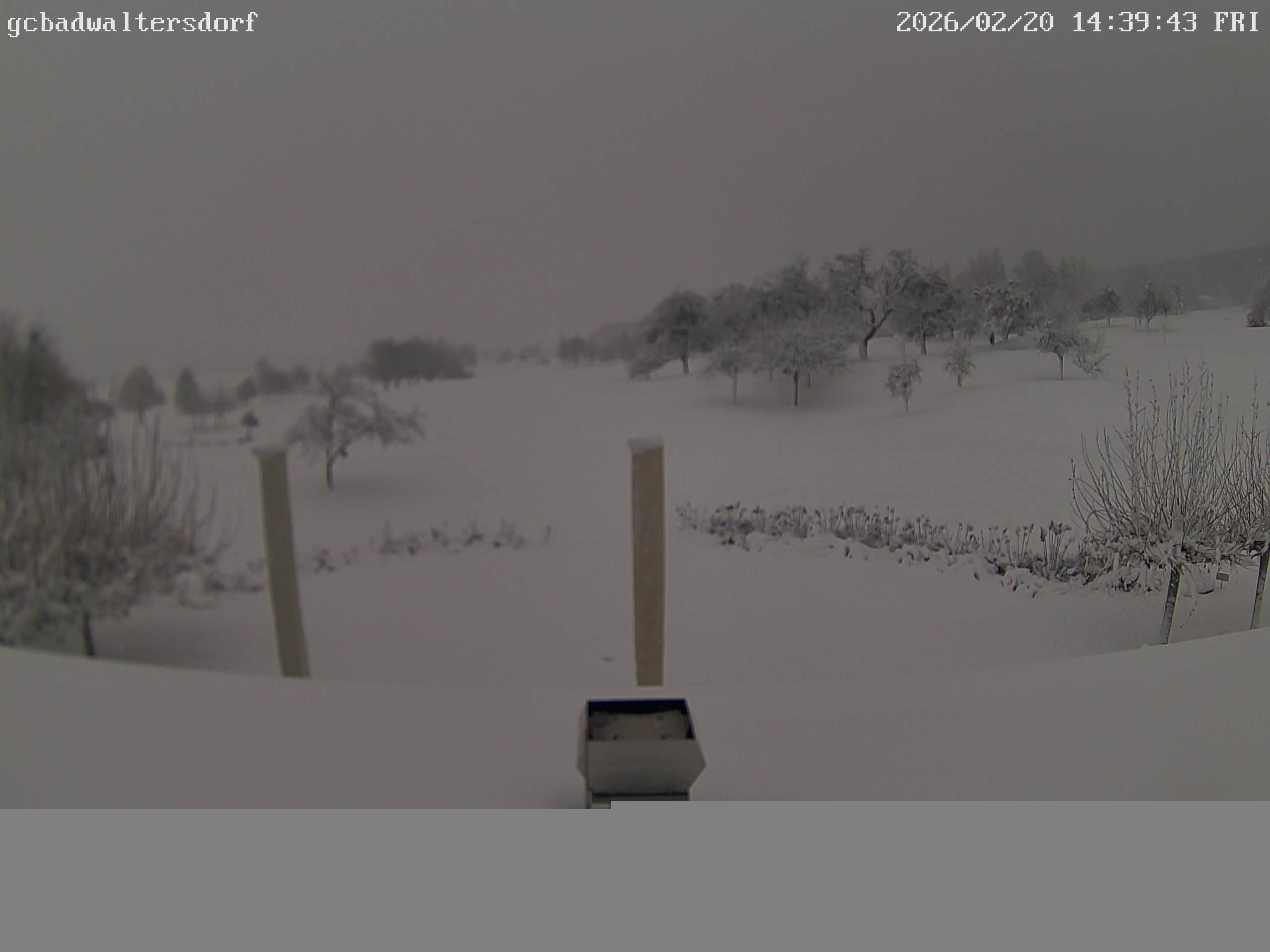 Archiv Foto Webcam Golfclub Bad Waltersdorf