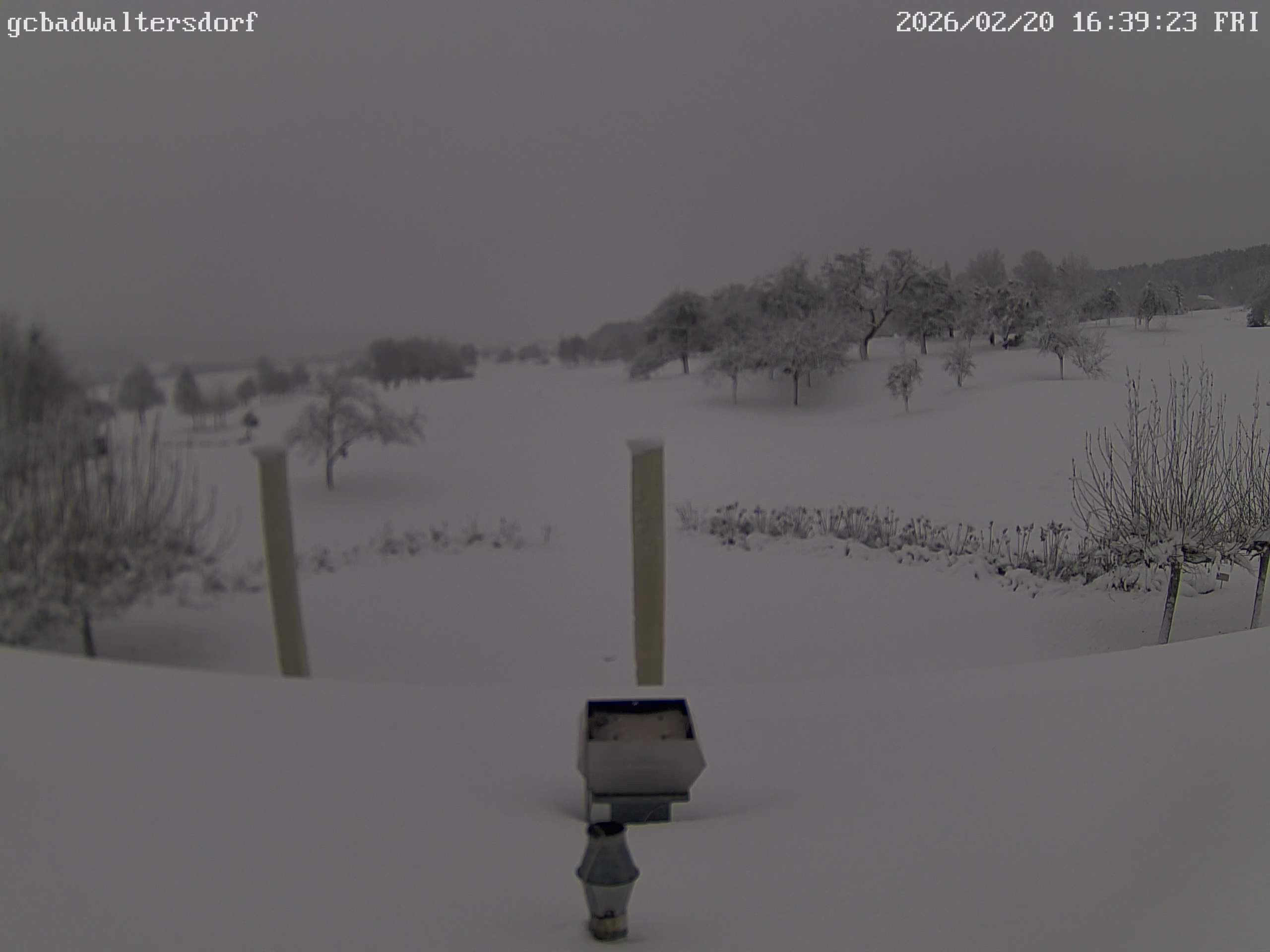 Archiv Foto Webcam Golfclub Bad Waltersdorf