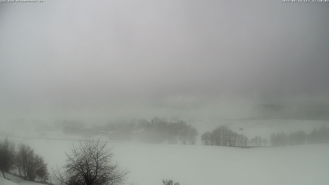 Archiv Foto Webcam Kurort Bad Brambach