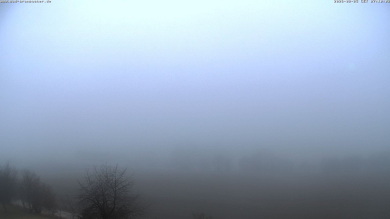 Archiv Foto Webcam Kurort Bad Brambach