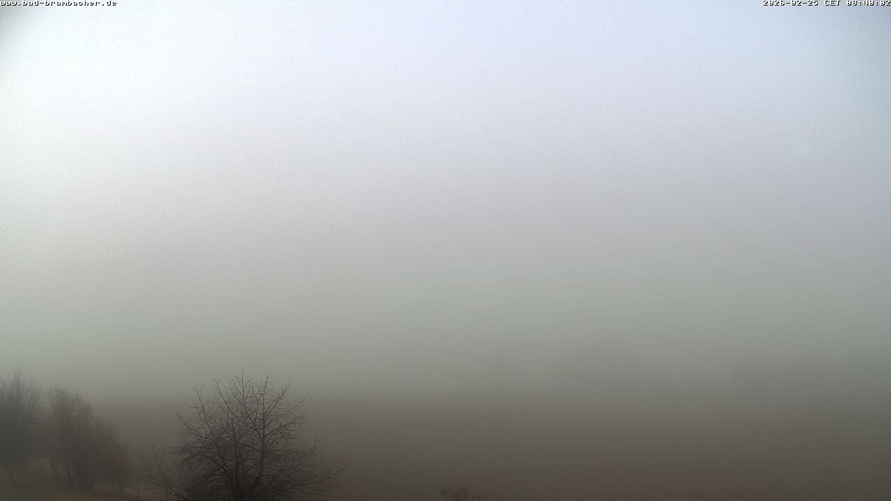 Archiv Foto Webcam Kurort Bad Brambach