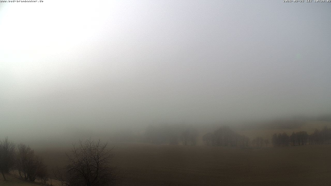 Archiv Foto Webcam Kurort Bad Brambach