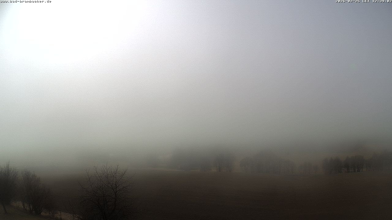 Archiv Foto Webcam Kurort Bad Brambach