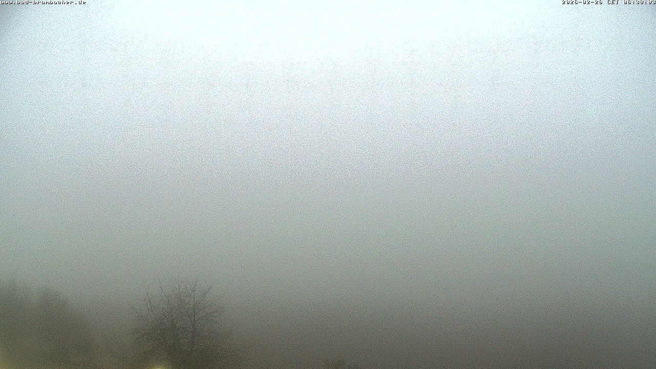 Archived image Webcam Bad Brambach