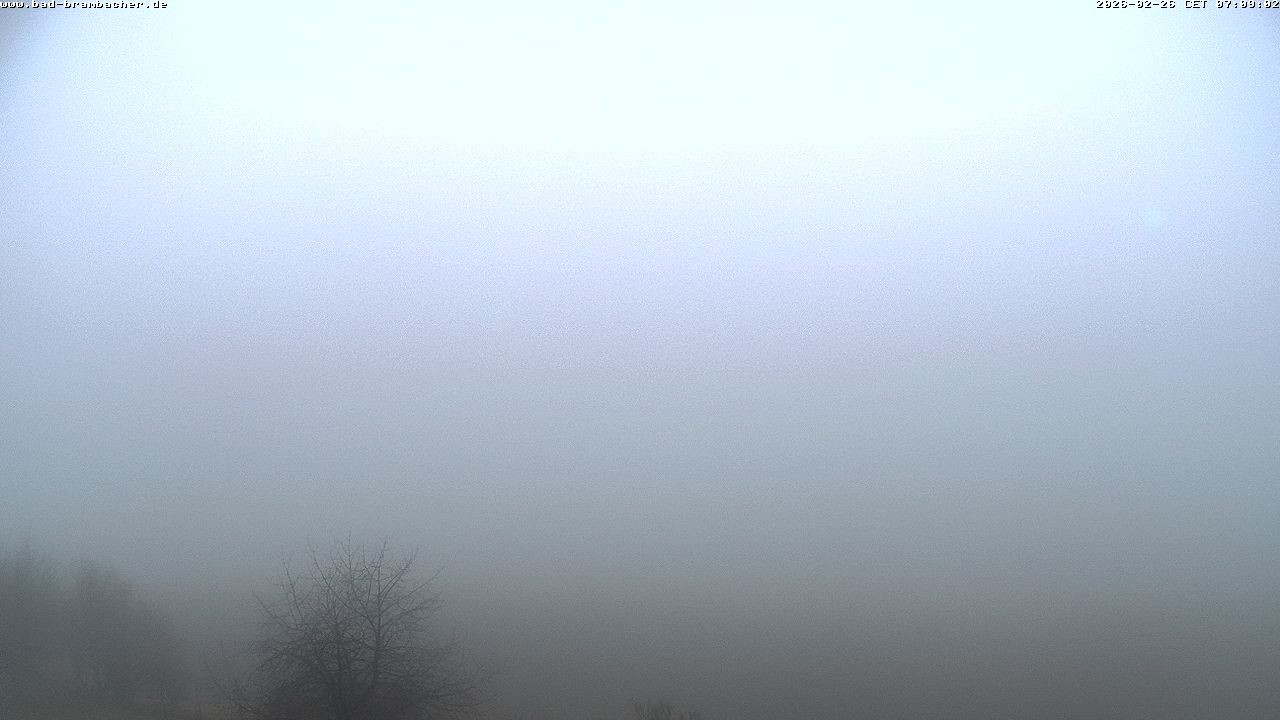 Archived image Webcam Bad Brambach