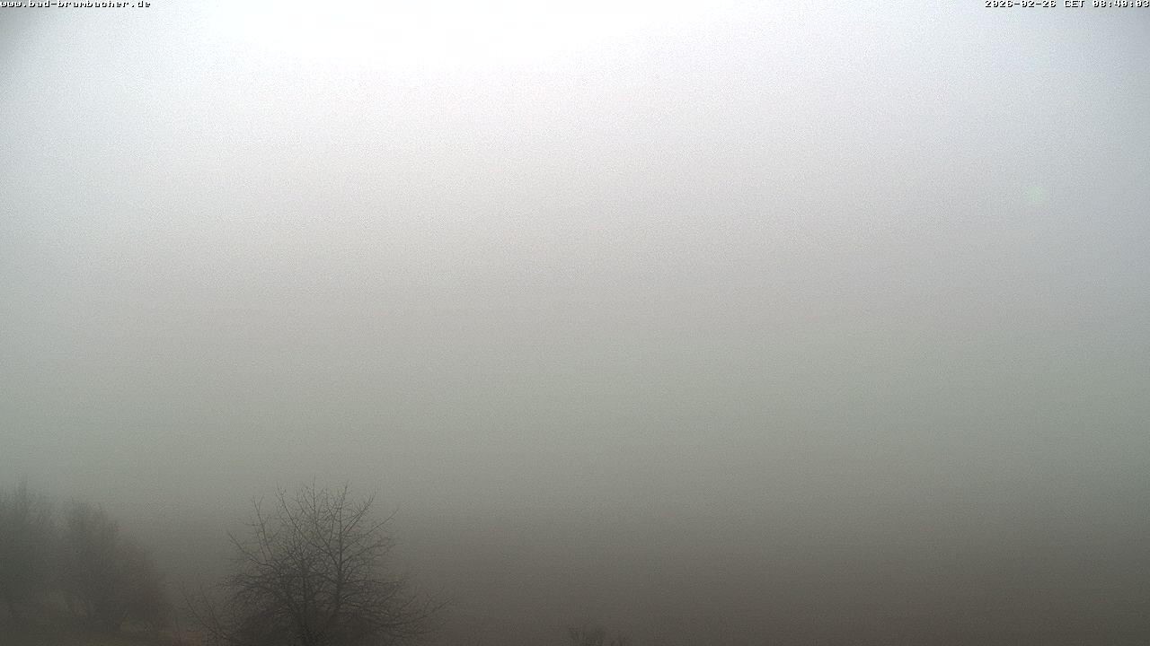 Archived image Webcam Bad Brambach