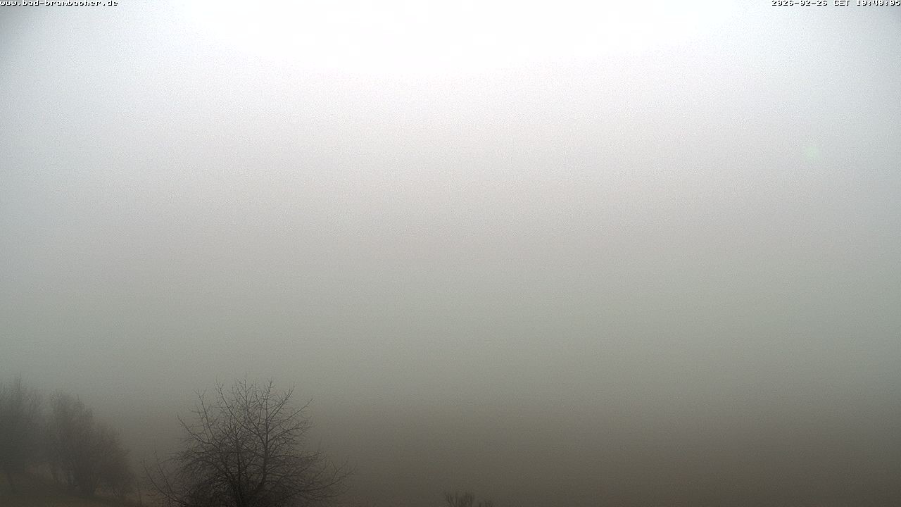 Archived image Webcam Bad Brambach