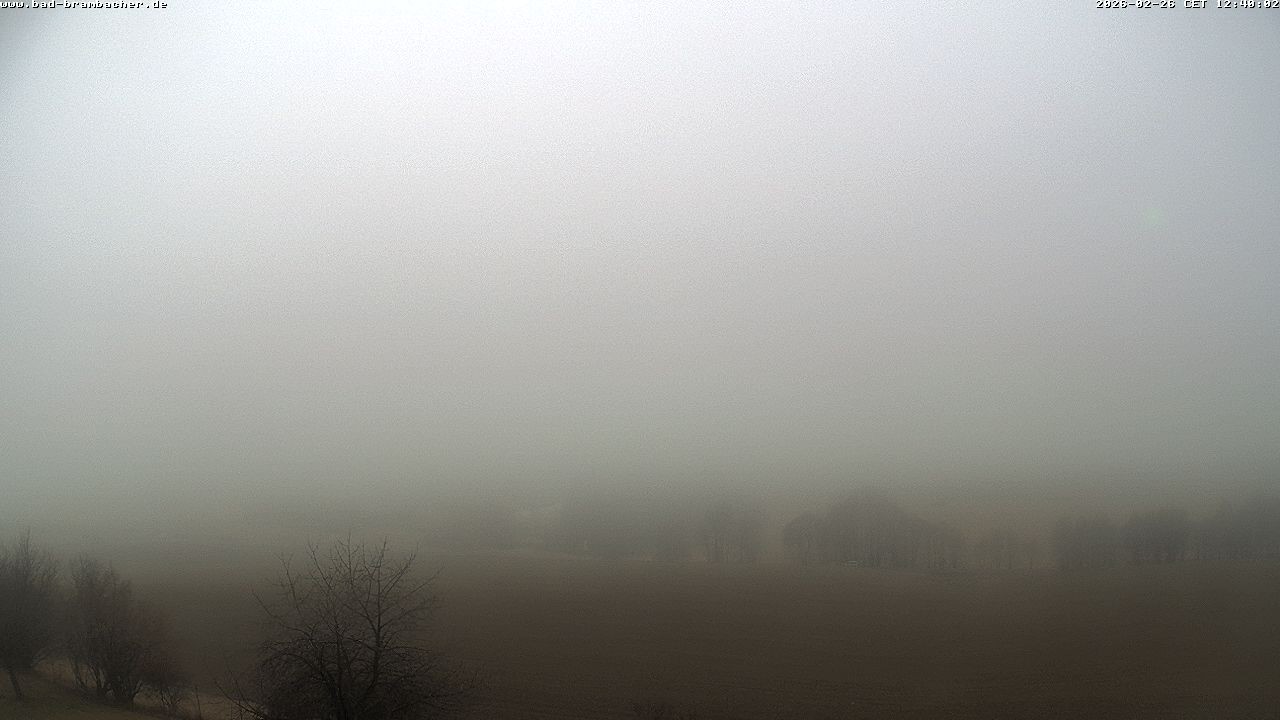 Archived image Webcam Bad Brambach