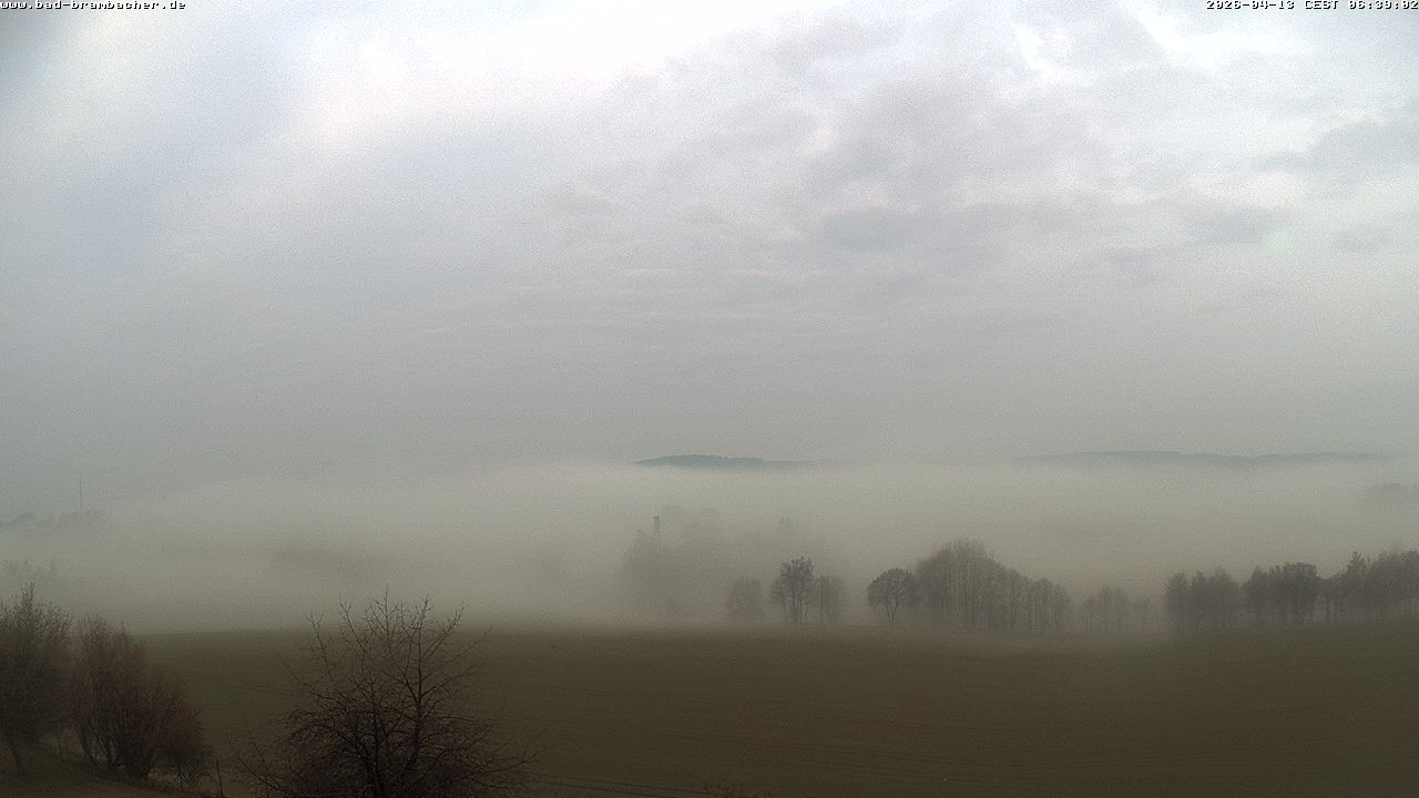 Archived image Webcam Bad Brambach