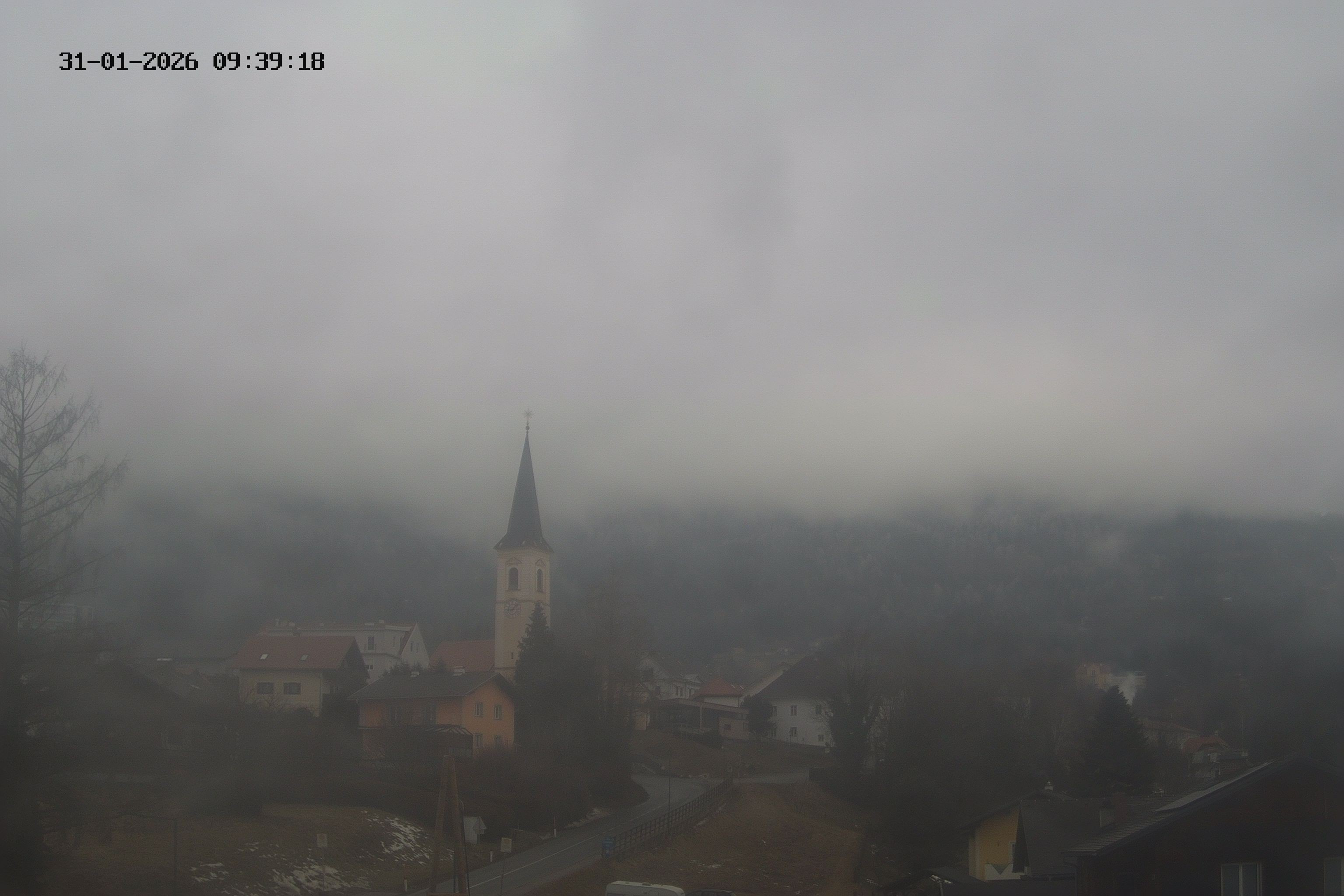 Archiv Foto Webcam St. Radegund - Ort