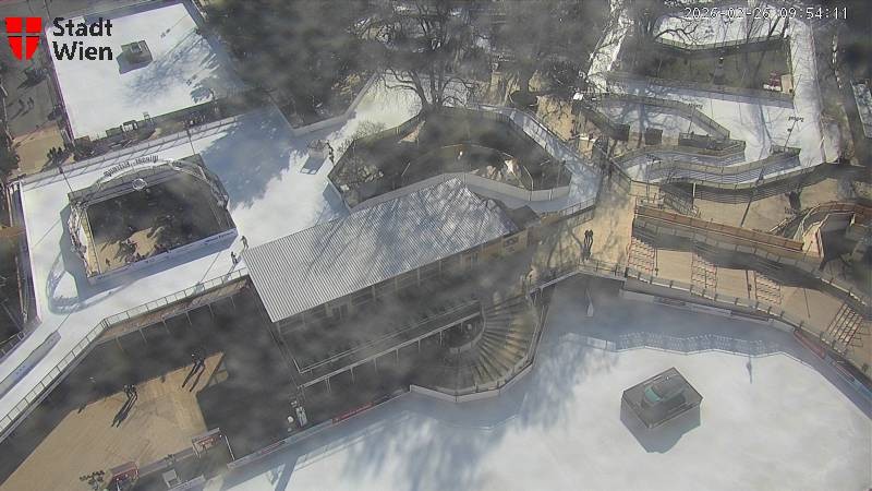 Archived image Webcam Vienna - City Hall