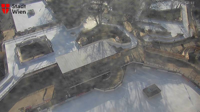 Archiv Foto Webcam Wien - Rathausplatz