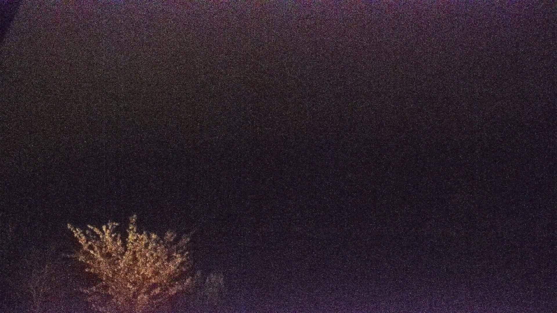 Archiv Foto Webcam Blick von der Bergstation am Jenner