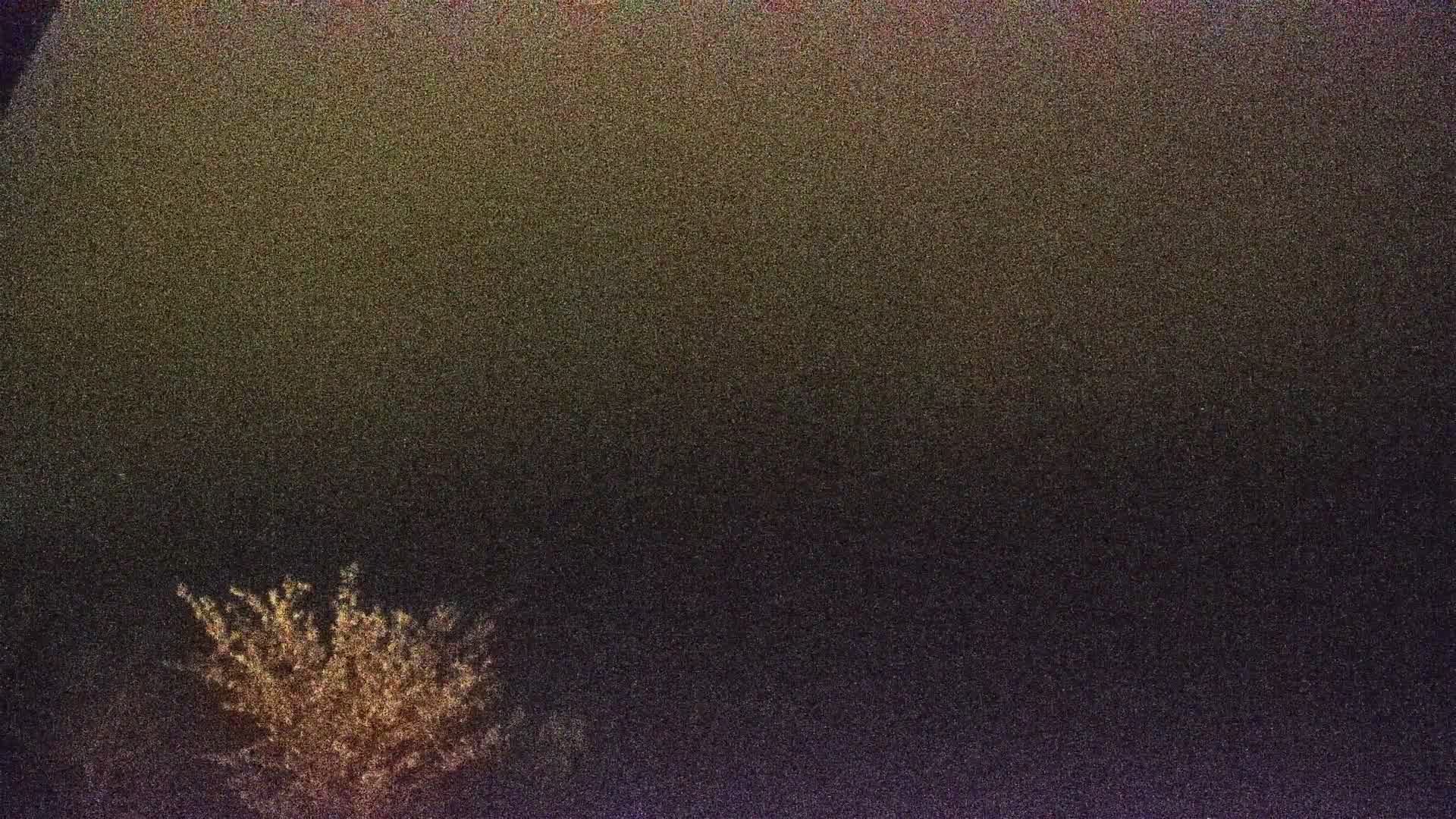 Archived image Webcam View Top Station at Jenner Mountain