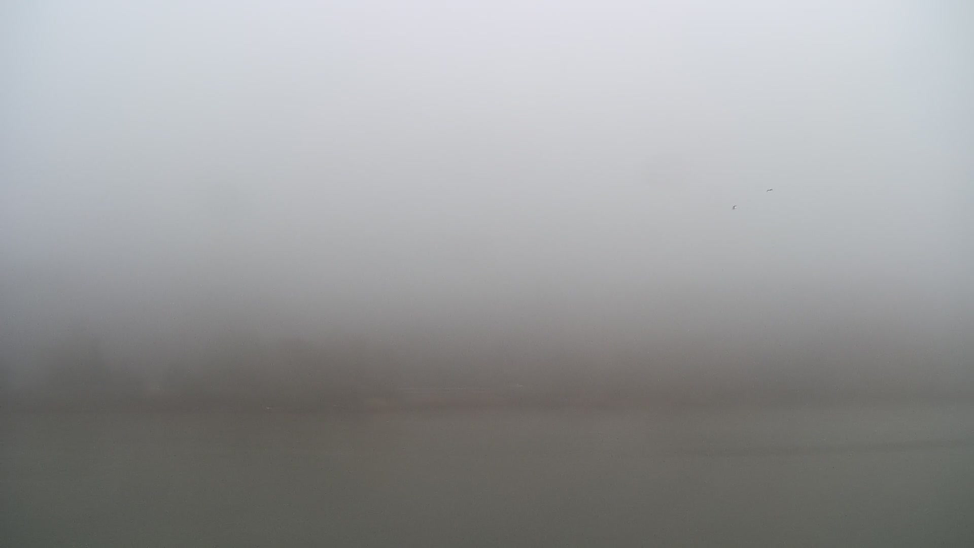 Archived image Webcam View Top Station at Jenner Mountain