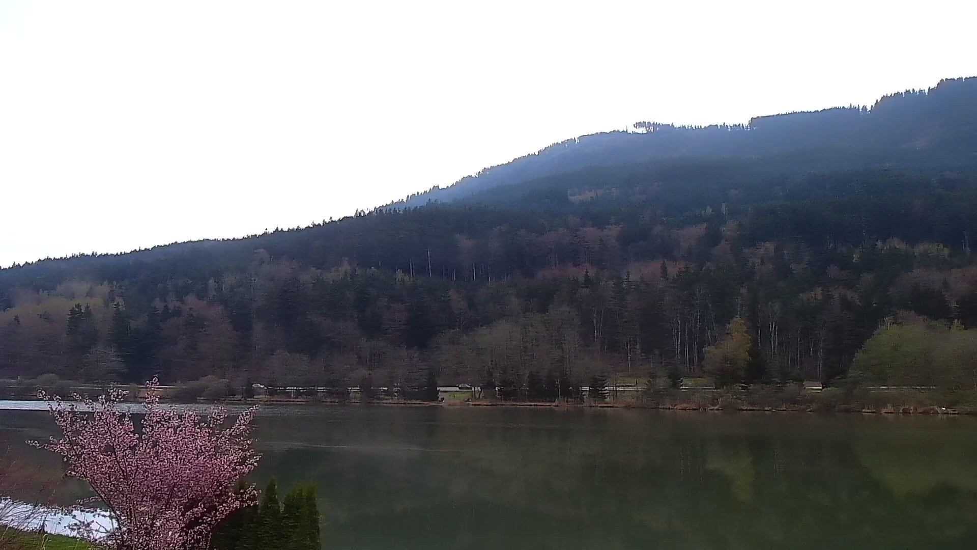 Archiv Foto Webcam Blick von der Bergstation am Jenner