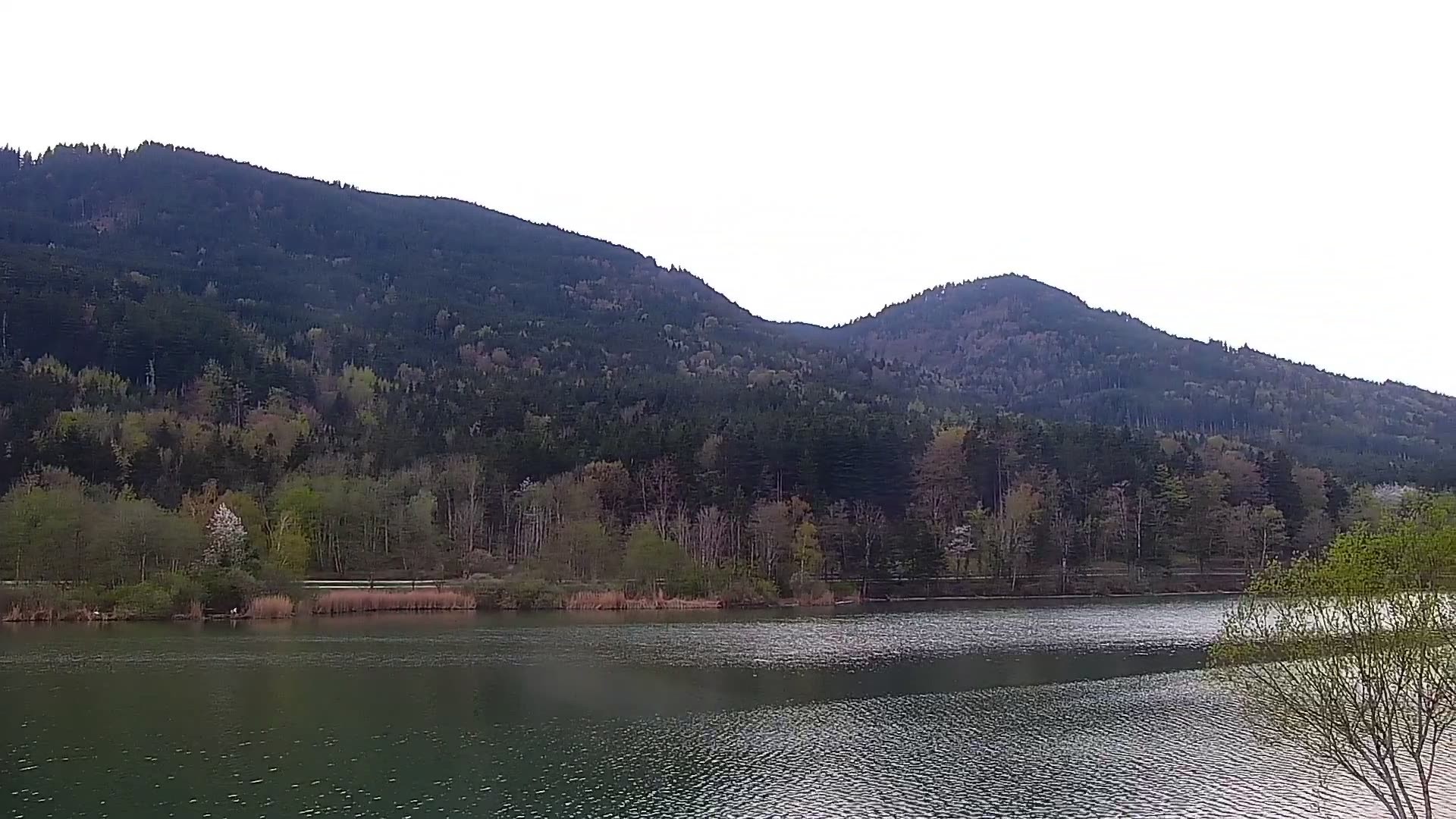 Archiv Foto Webcam Blick von der Bergstation am Jenner