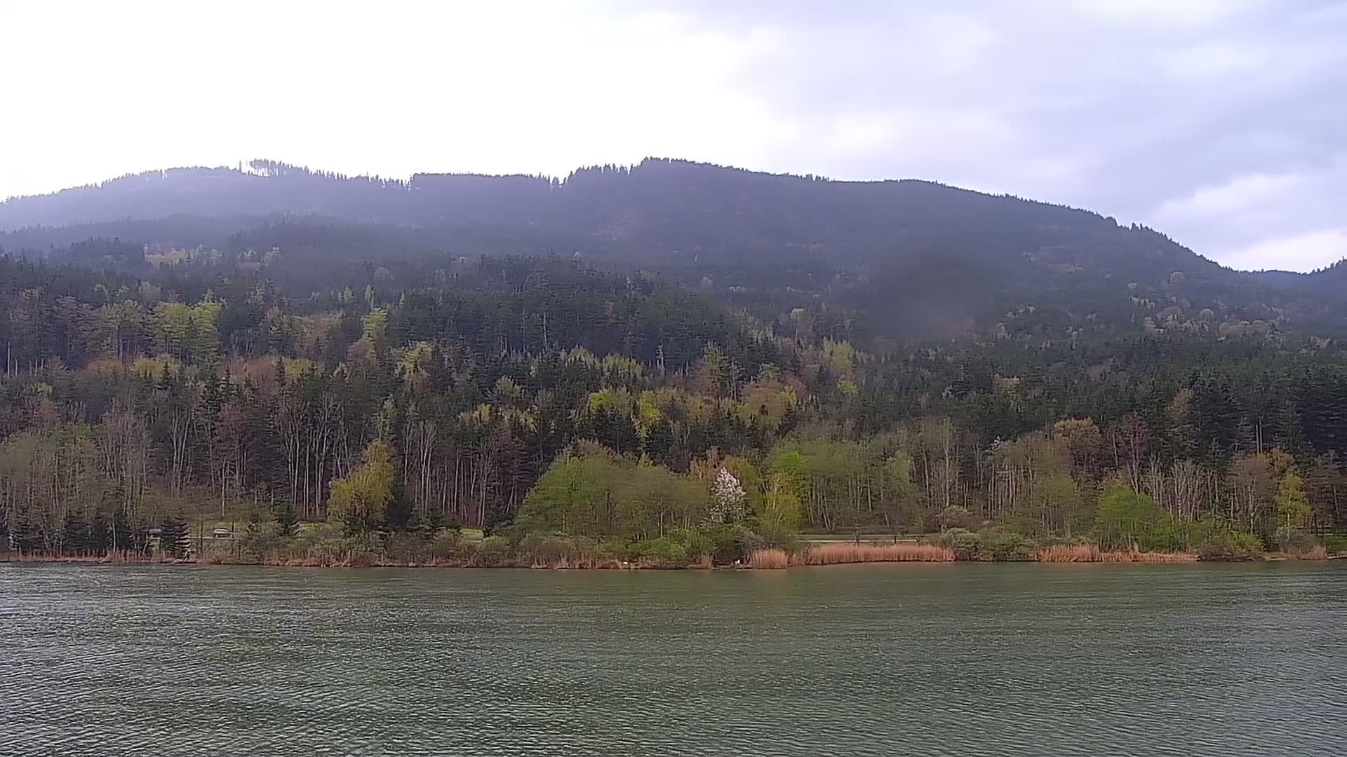 Archiv Foto Webcam Blick von der Bergstation am Jenner