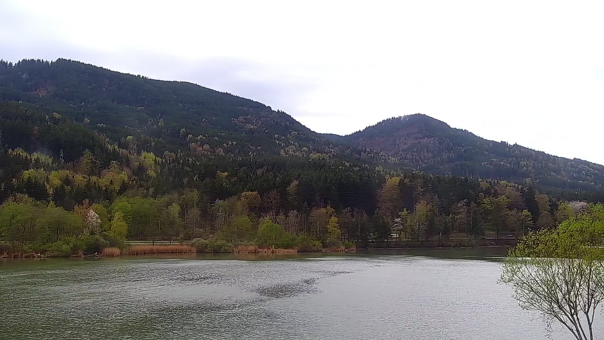 Archiv Foto Webcam Blick von der Bergstation am Jenner