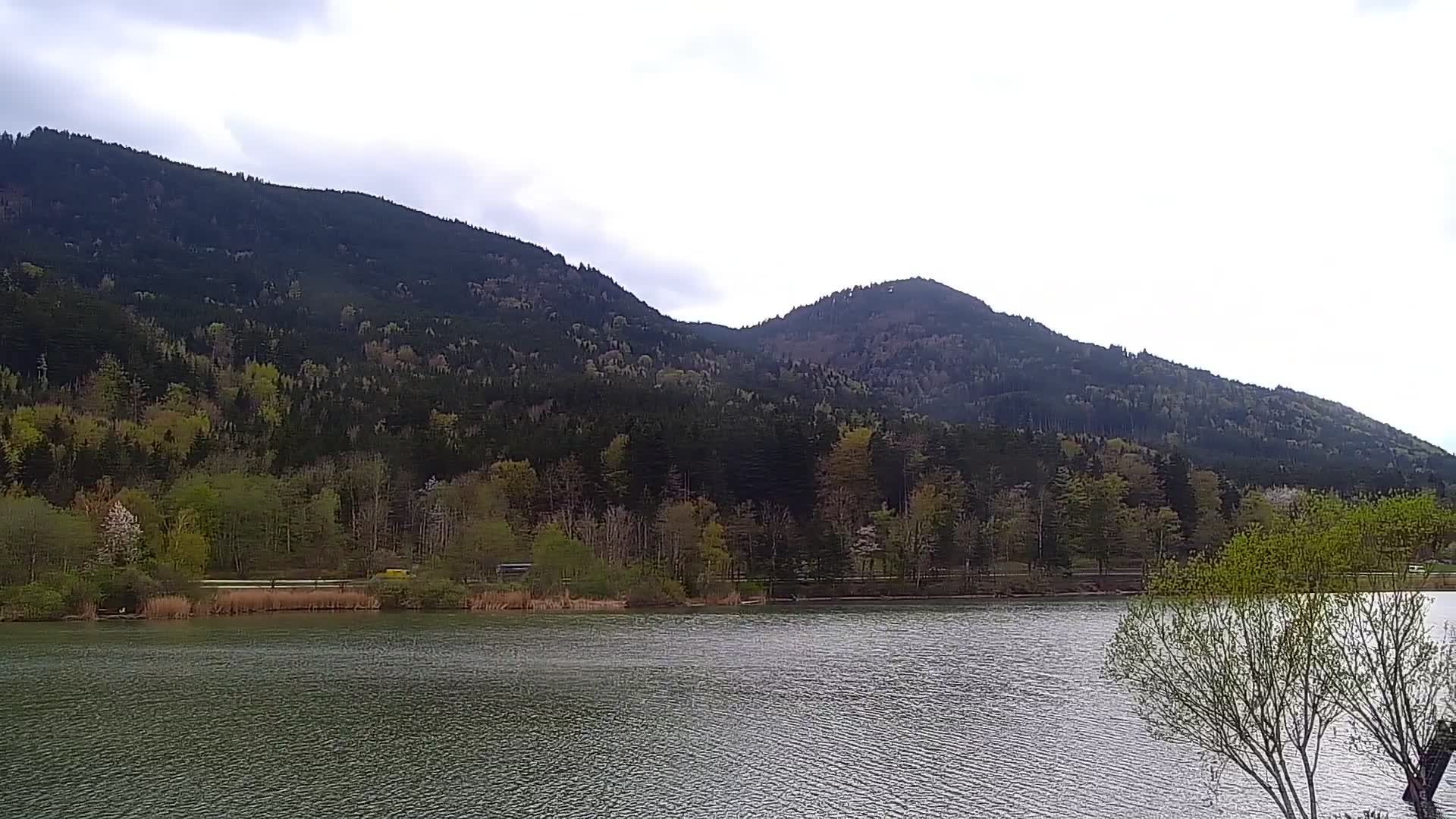 Archiv Foto Webcam Blick von der Bergstation am Jenner