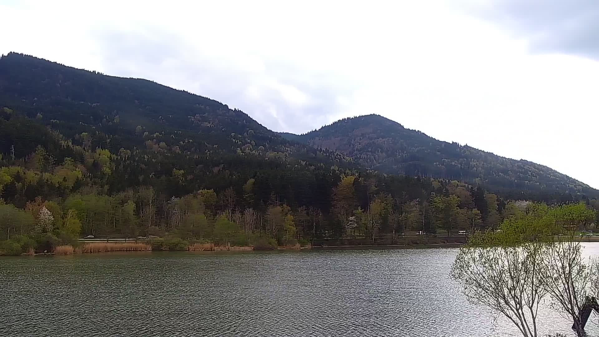 Archiv Foto Webcam Blick von der Bergstation am Jenner