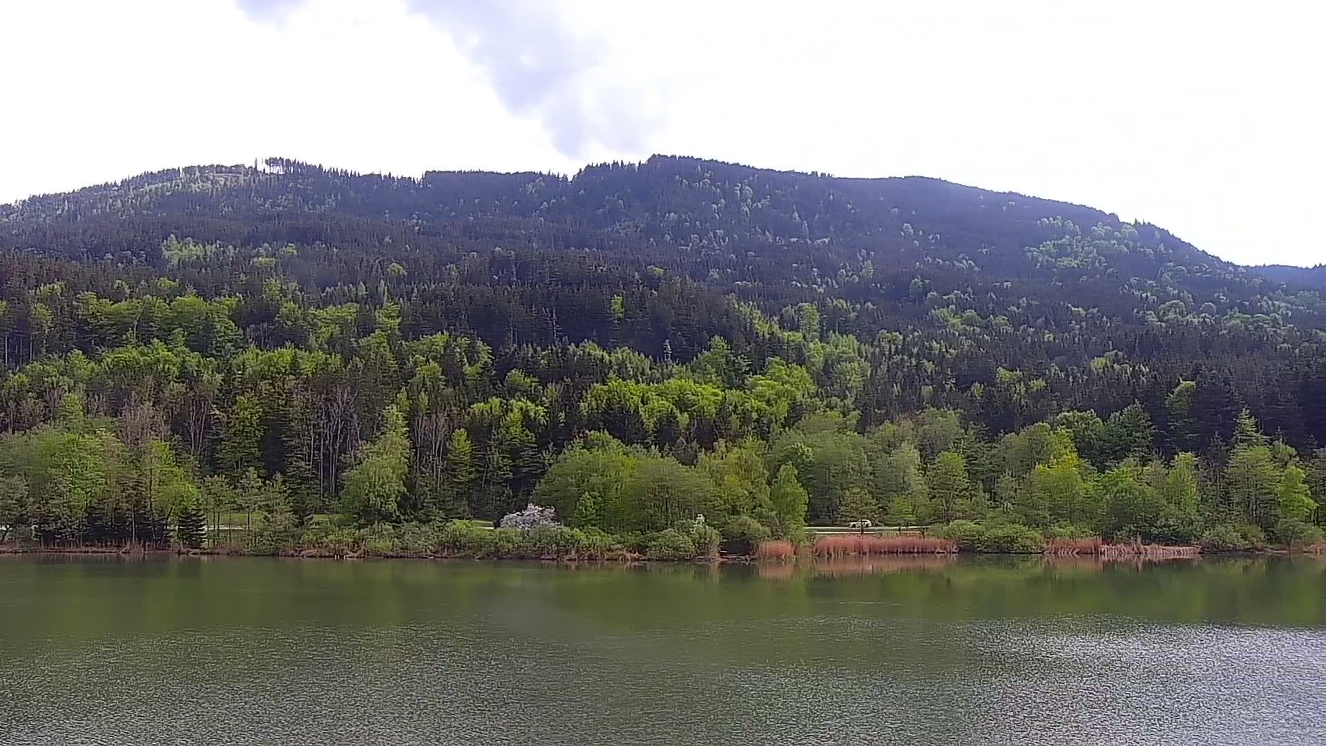 Archiv Foto Webcam Blick von der Bergstation am Jenner