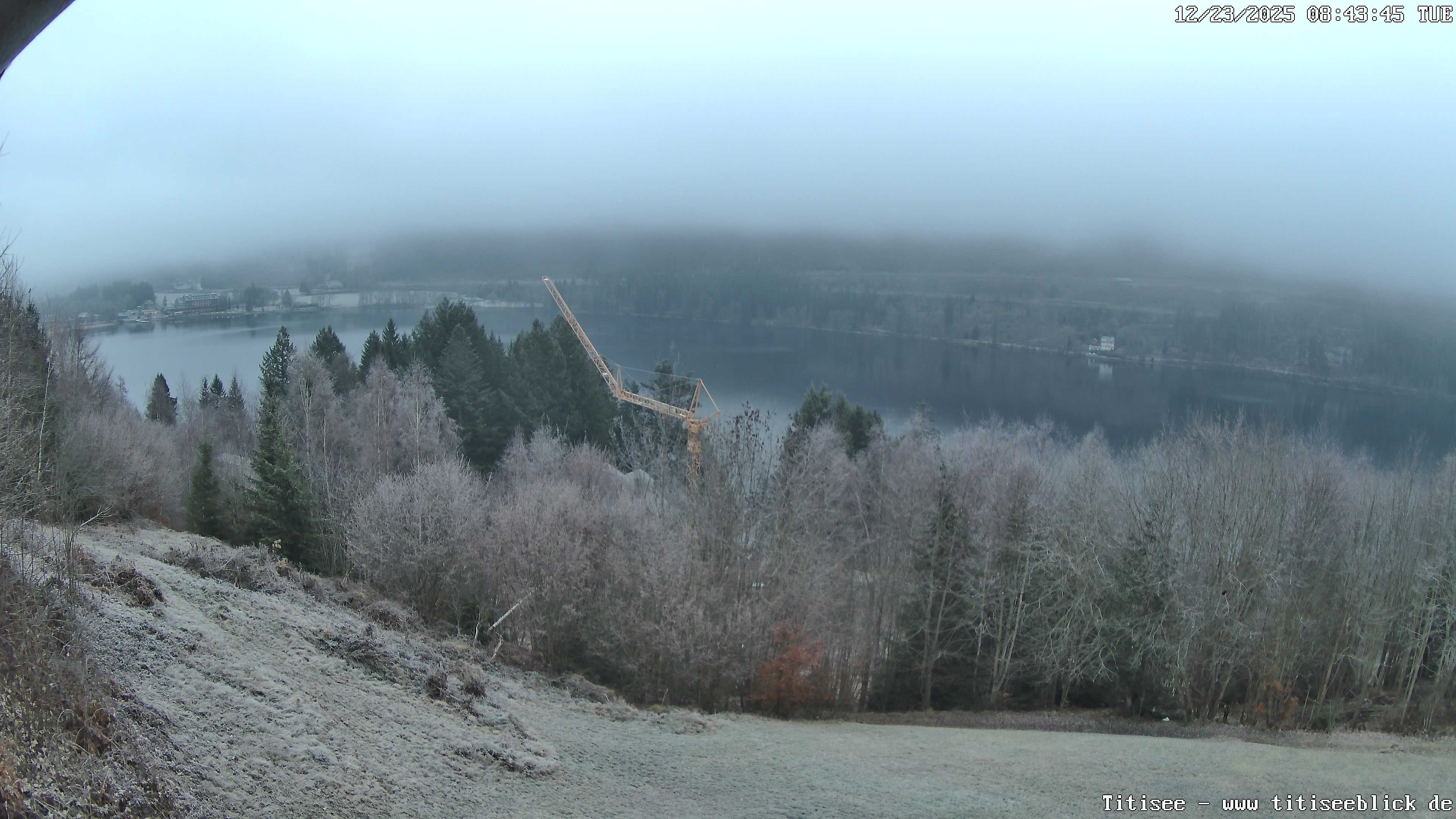 Archiv Foto Webcam Titisee: Westufer