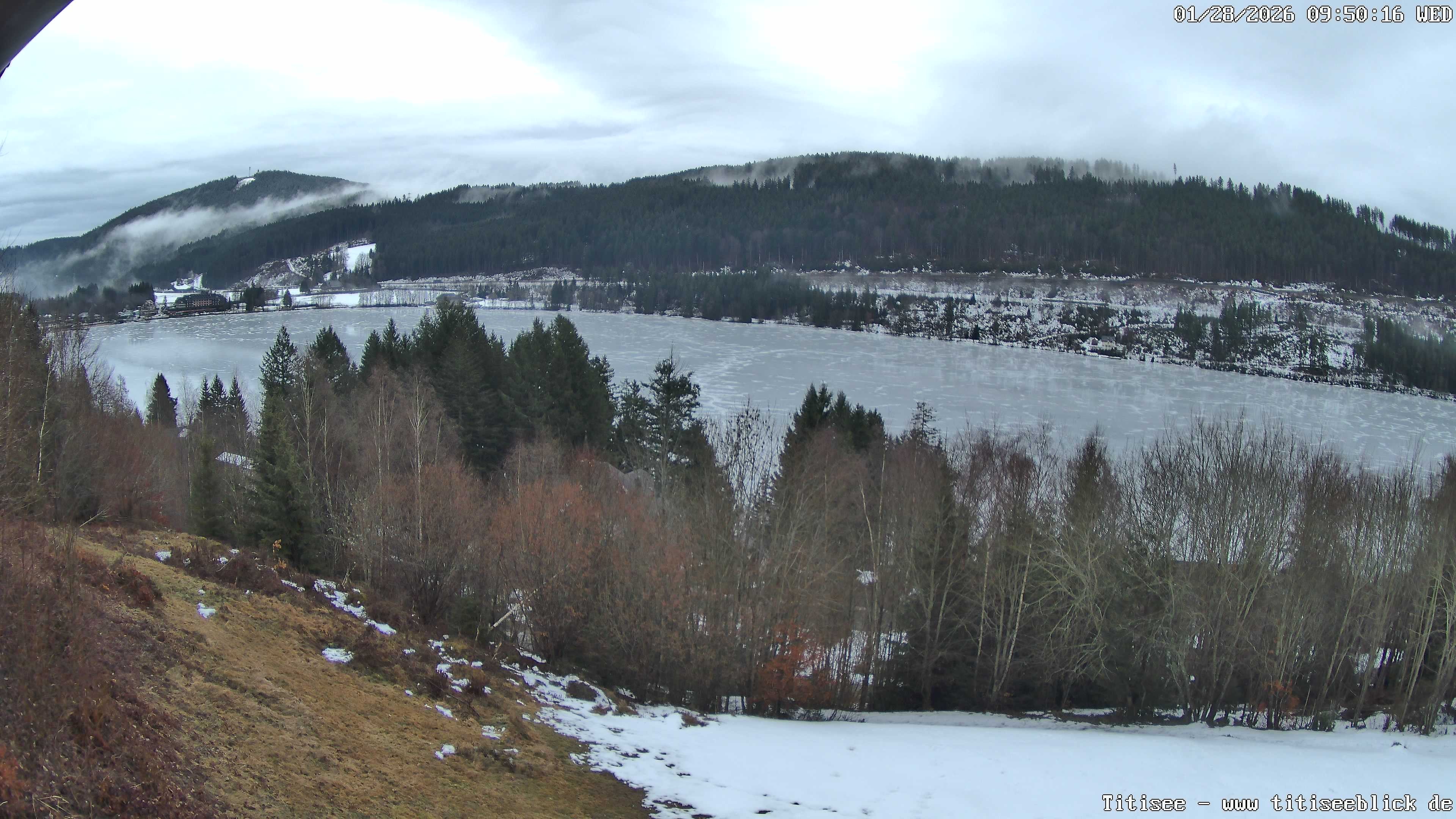 Archiv Foto Webcam Titisee: Westufer