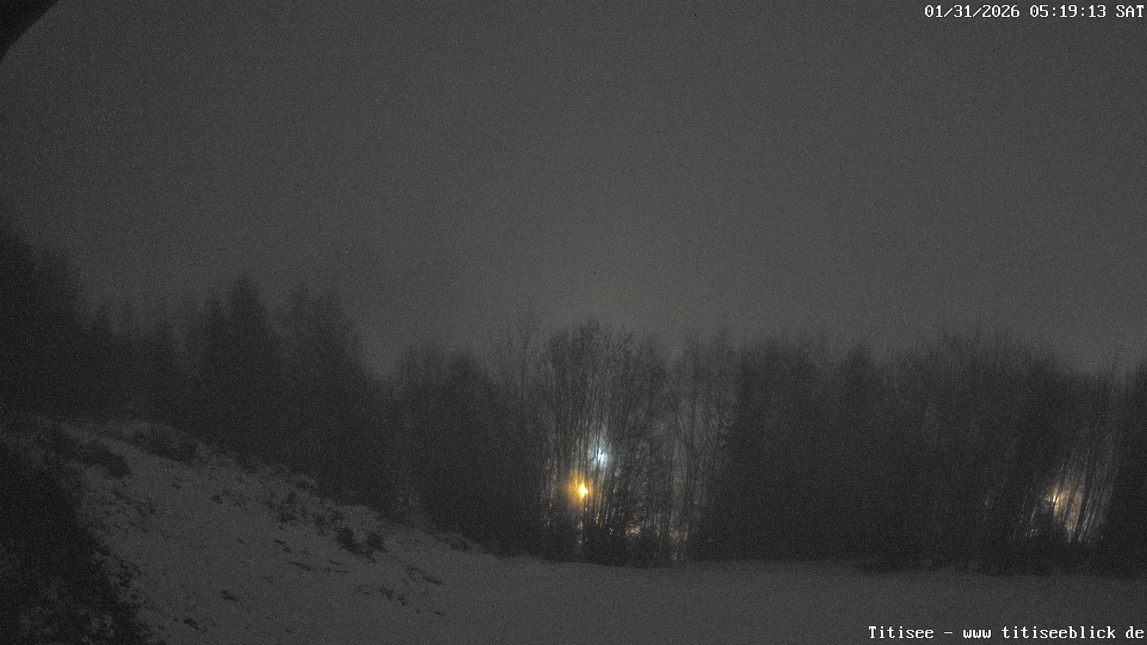 Archiv Foto Webcam Titisee: Westufer