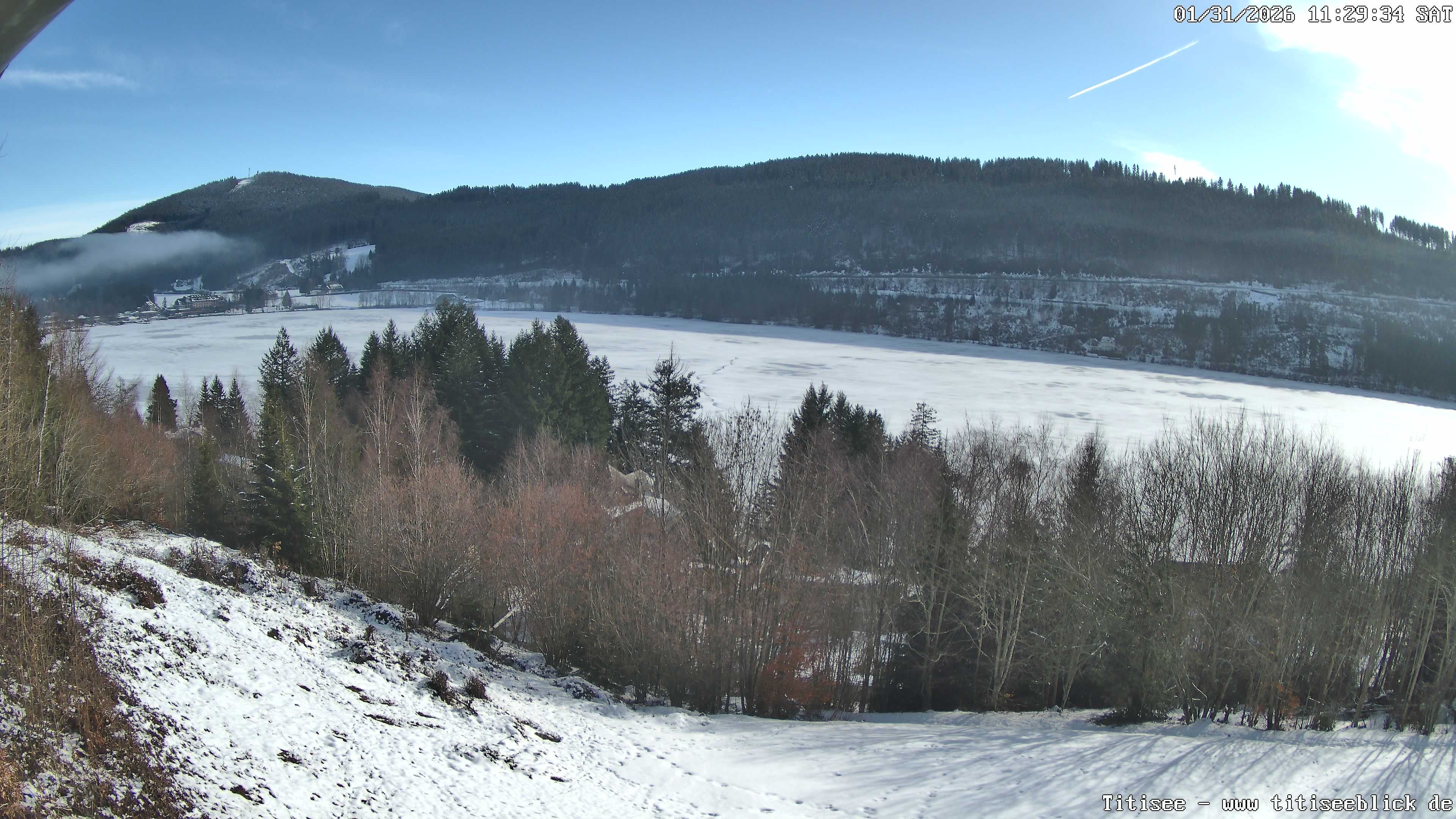 Archiv Foto Webcam Titisee: Westufer