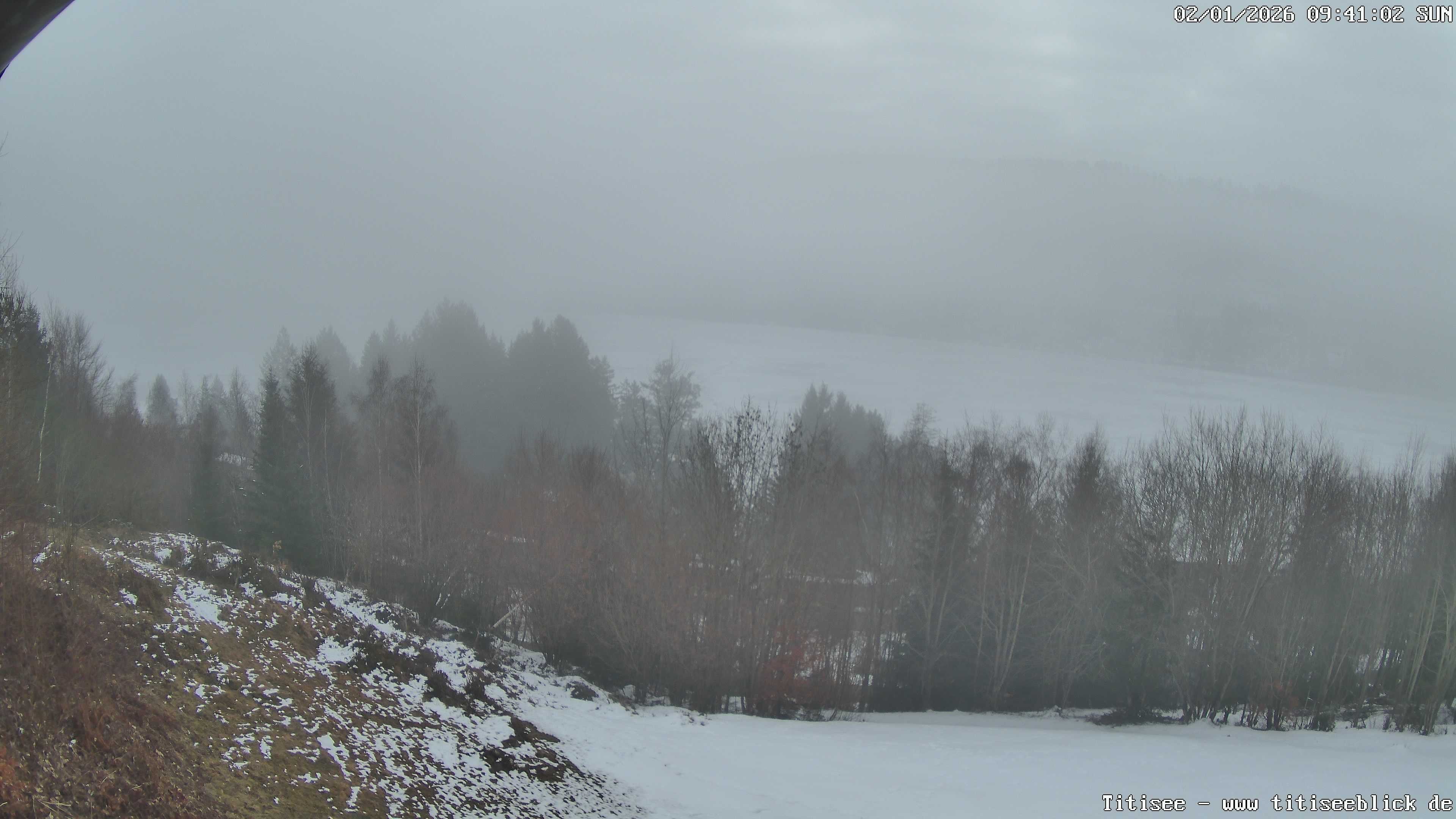 Archiv Foto Webcam Titisee: Westufer