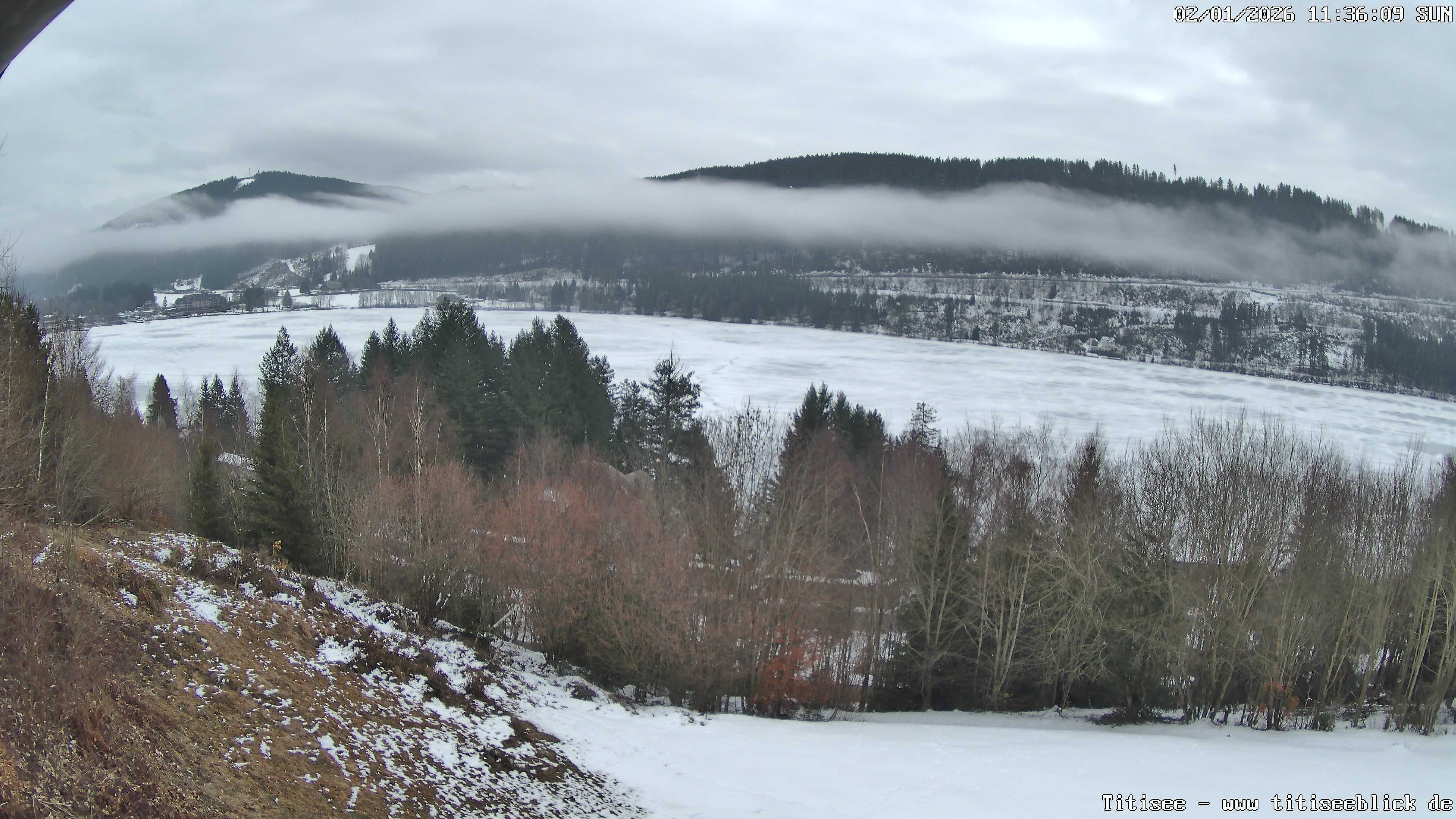 Archiv Foto Webcam Titisee: Westufer