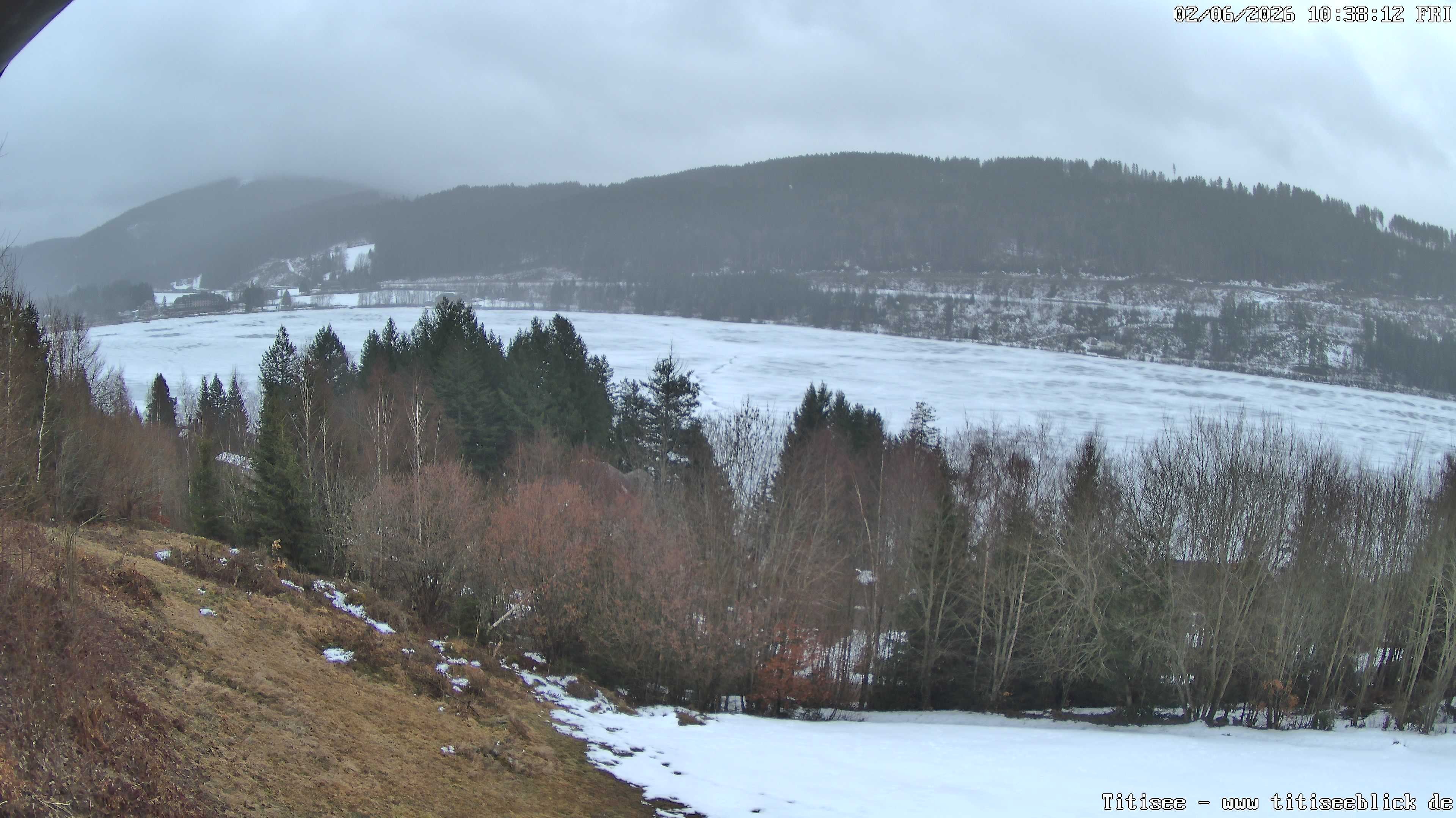 Archiv Foto Webcam Titisee: Westufer