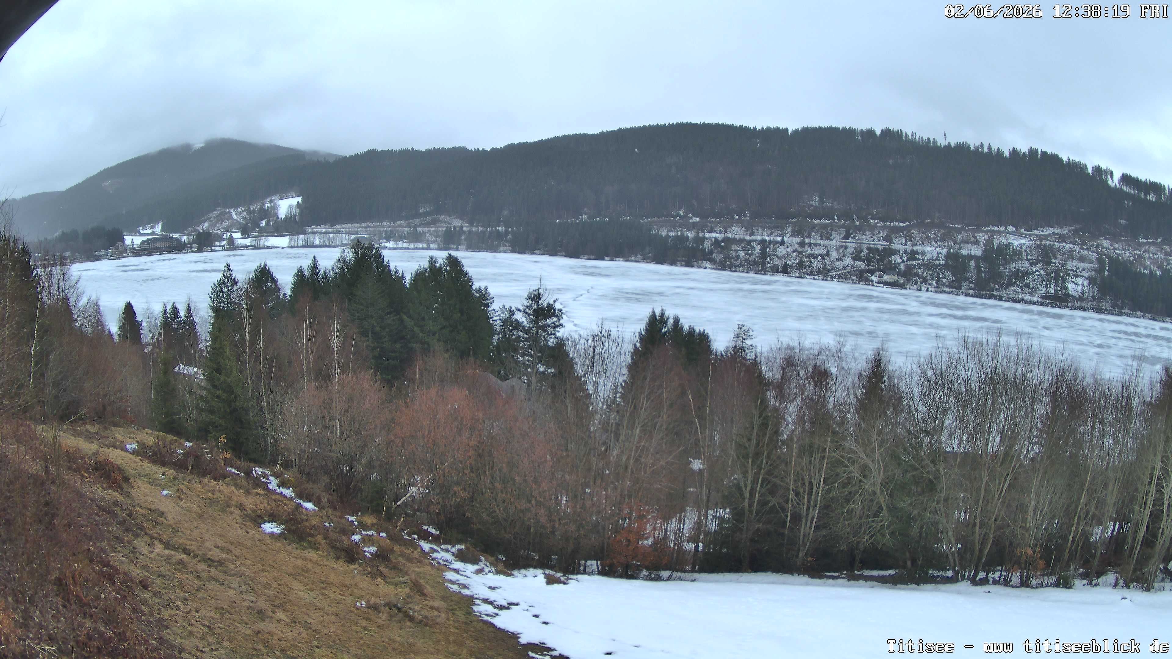 Archiv Foto Webcam Titisee: Westufer