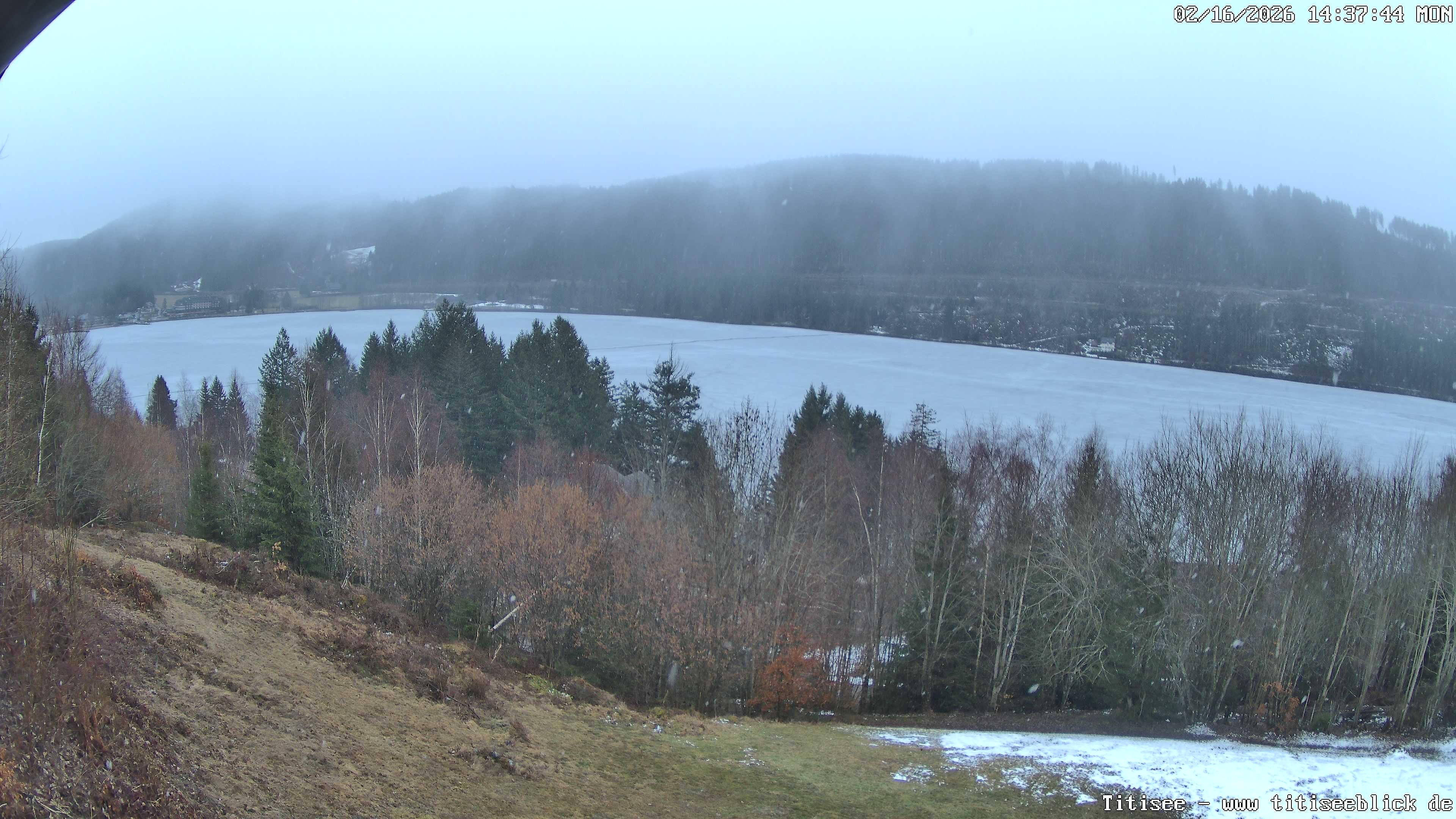 Archived image Webcam View of Lake Titisee
