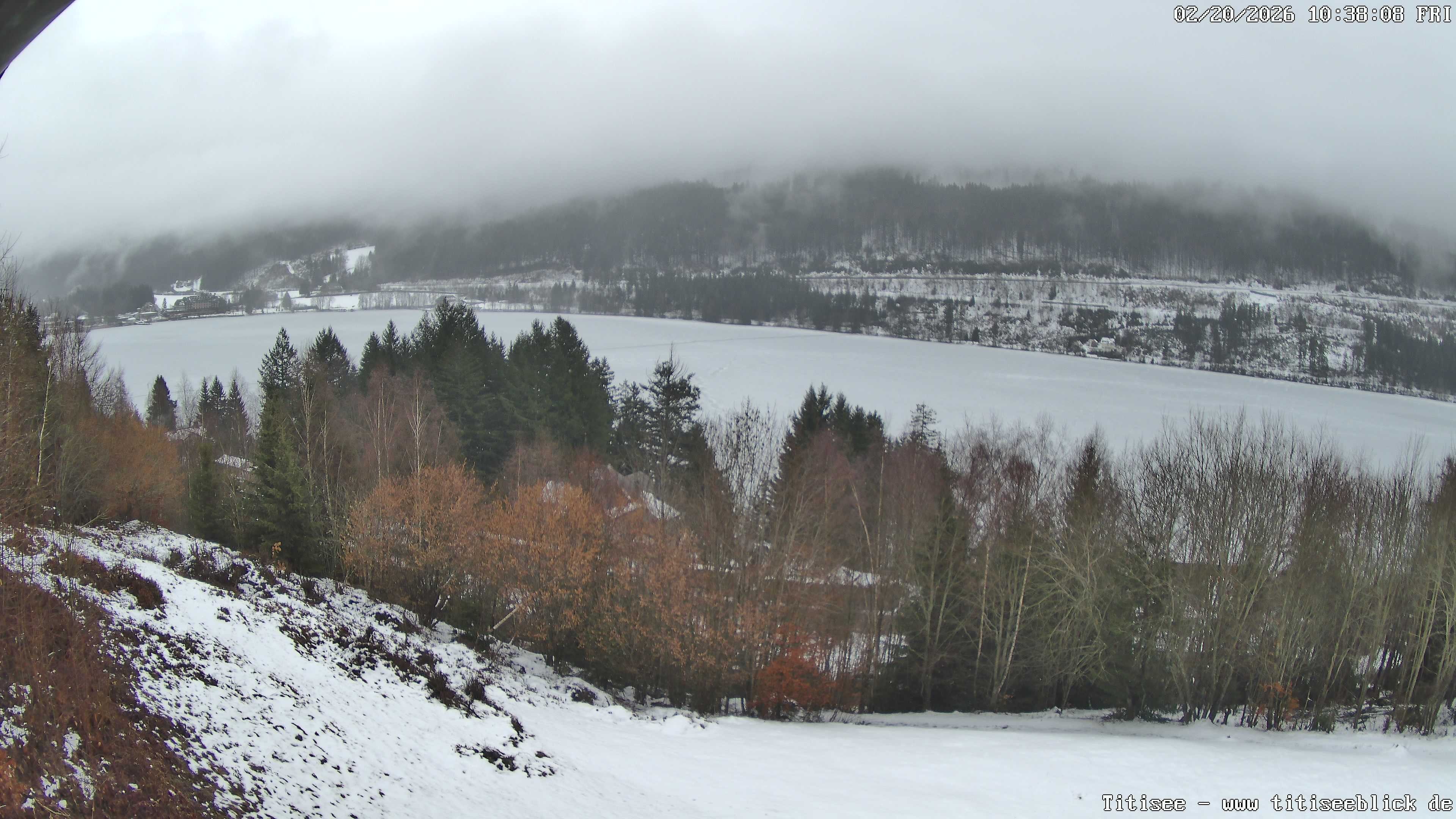 Archiv Foto Webcam Titisee: Westufer