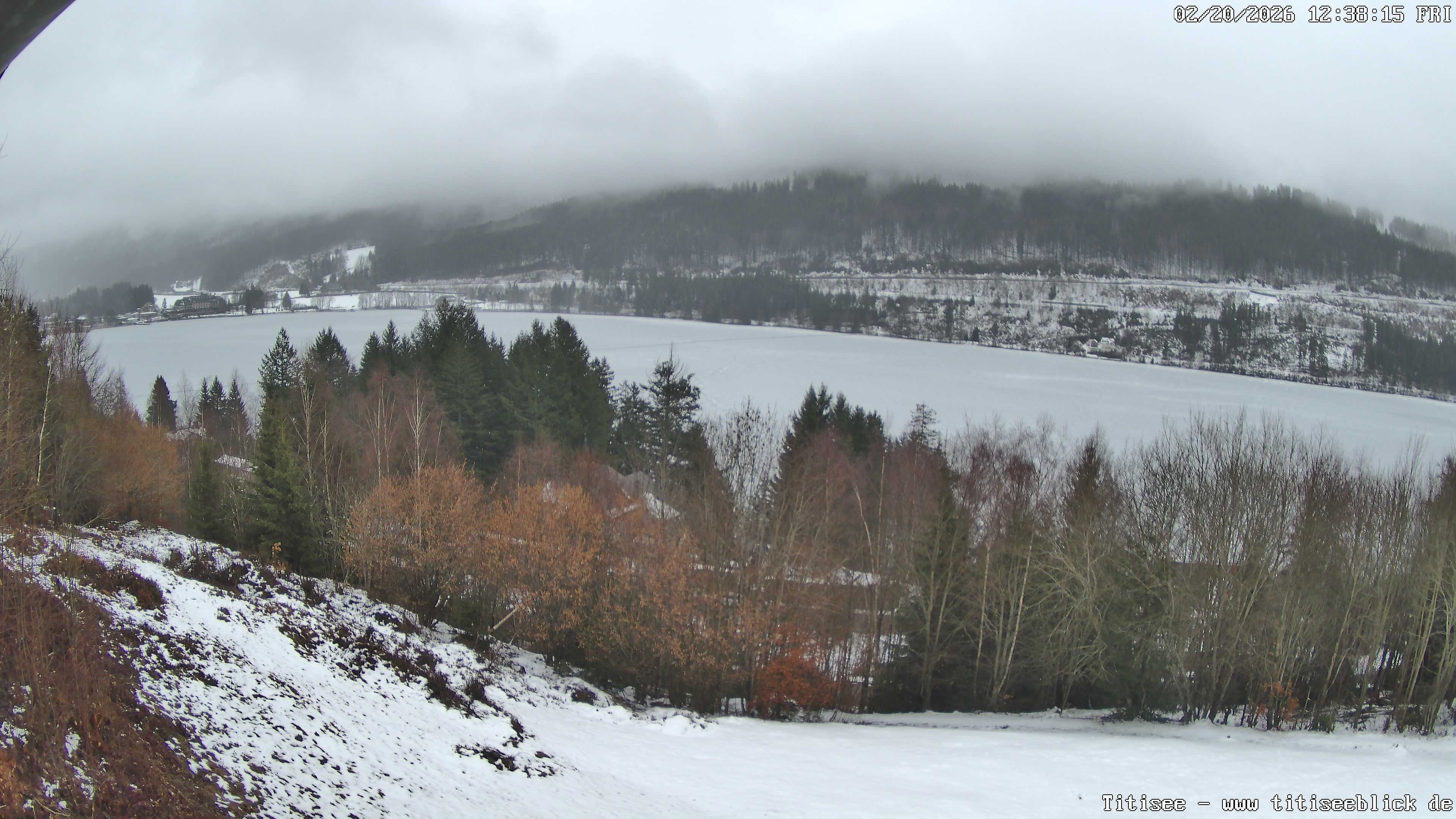 Archiv Foto Webcam Titisee: Westufer